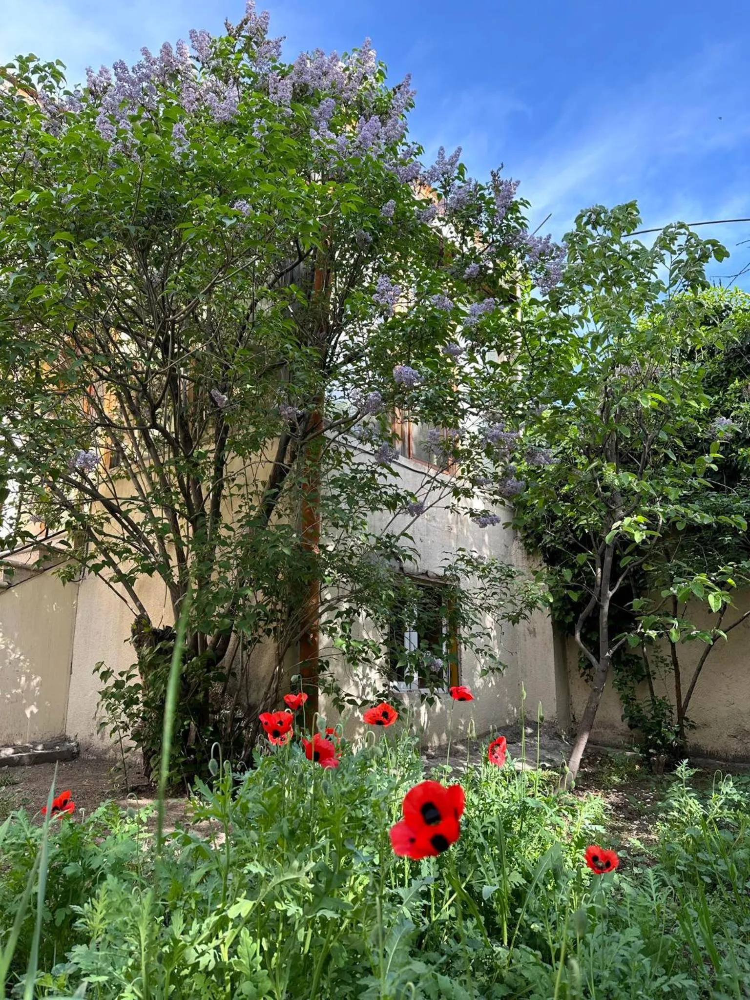 Li Yes Yerevan hotel