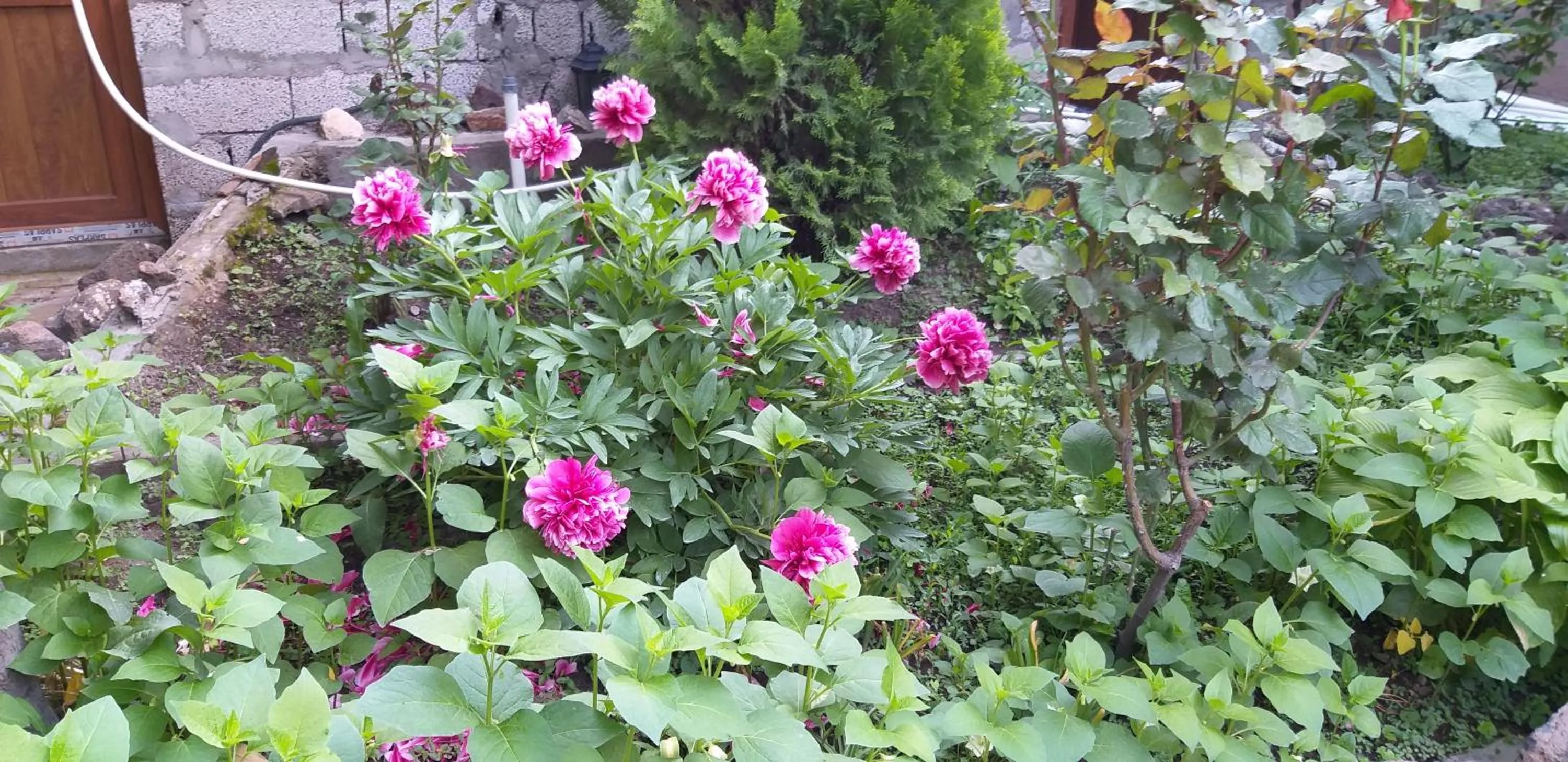 Li Yes Yerevan hotel