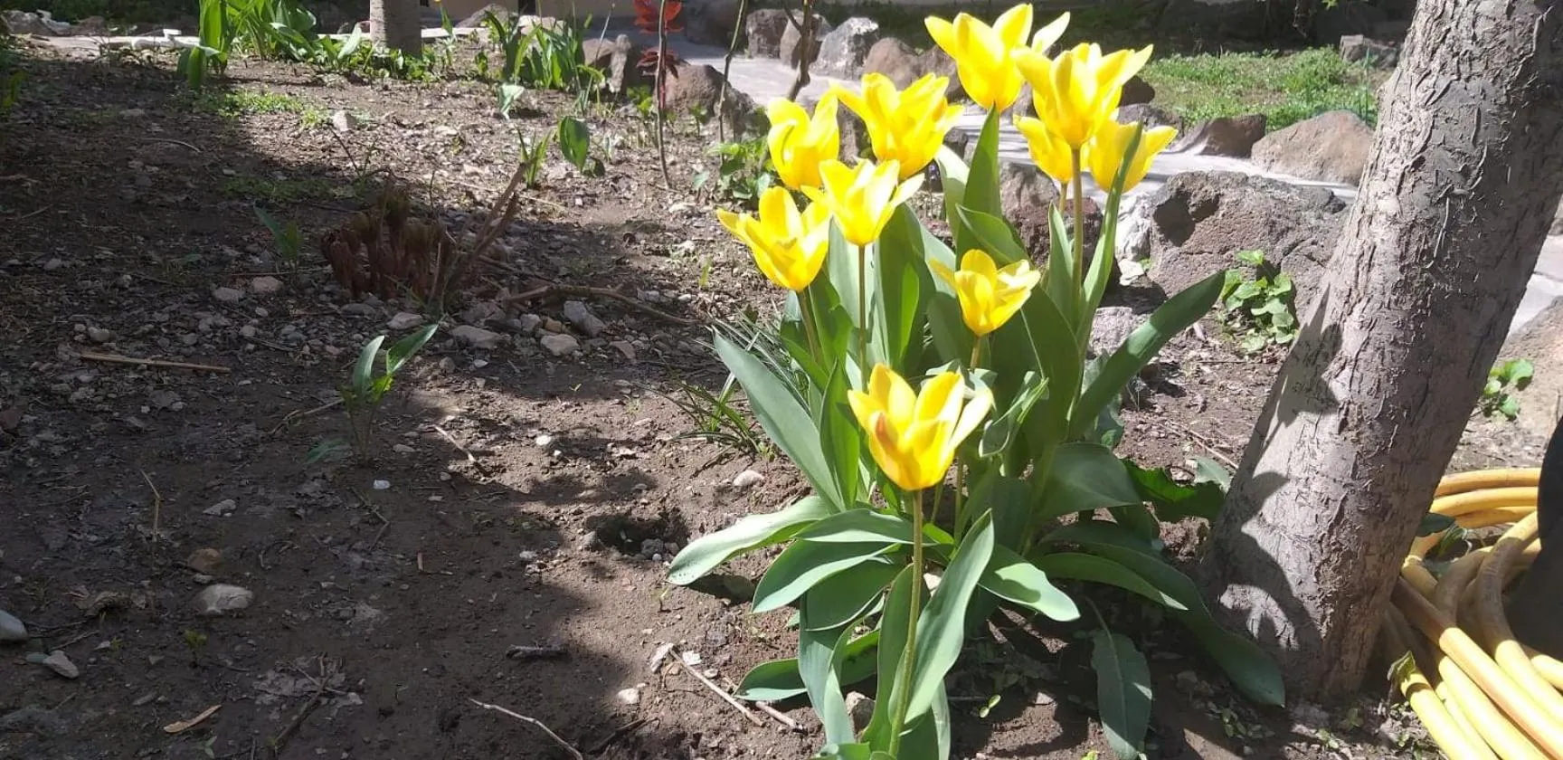 Li Yes Yerevan hotel