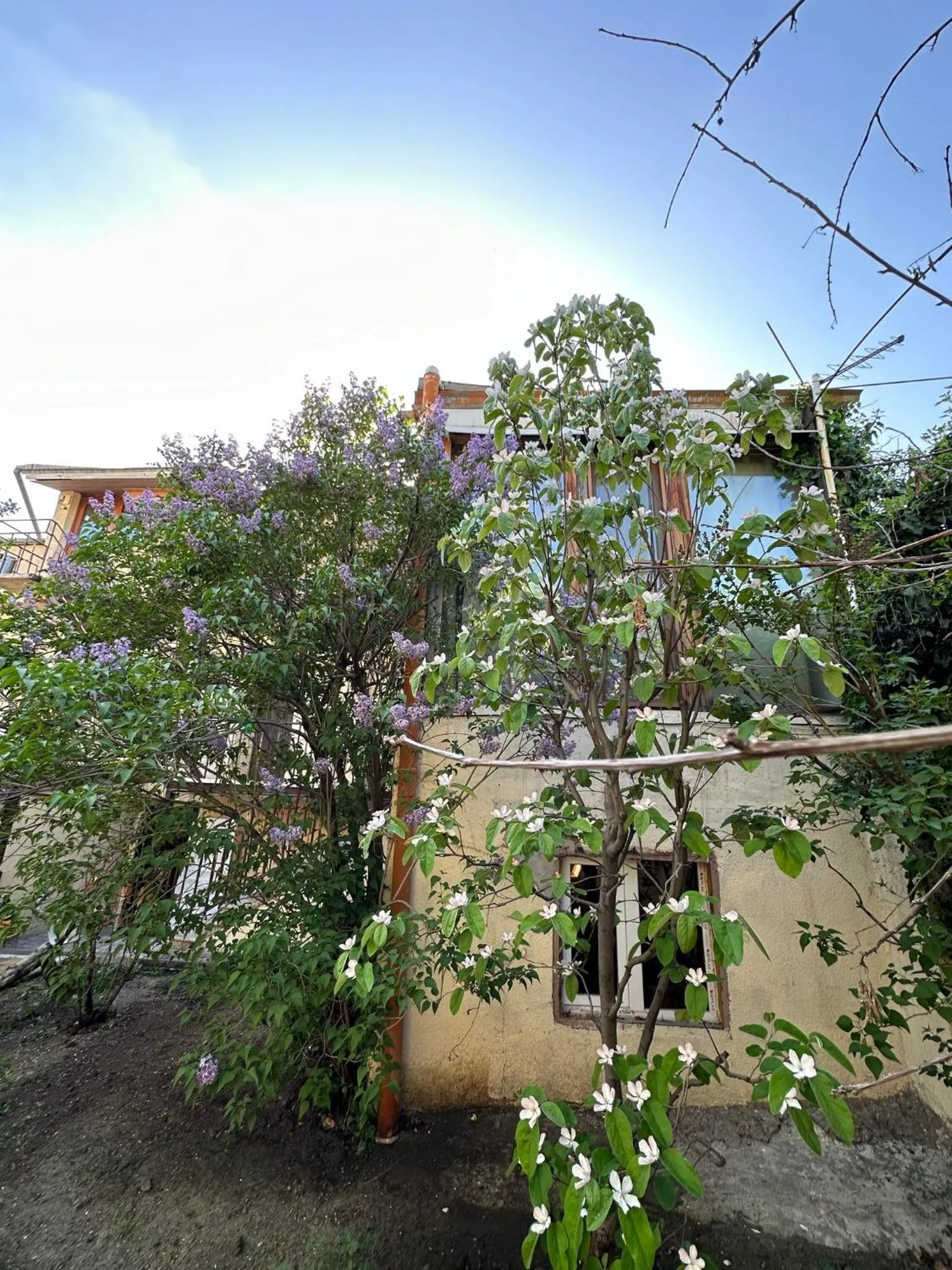 Li Yes Yerevan hotel