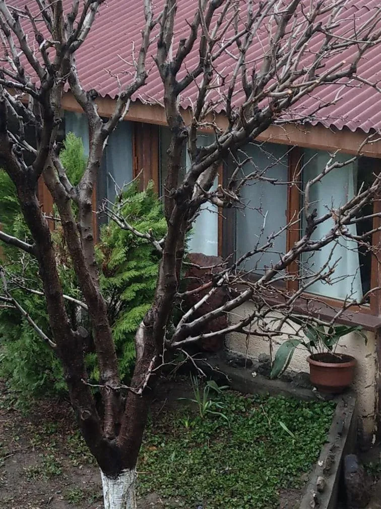 Li Yes Yerevan hotel