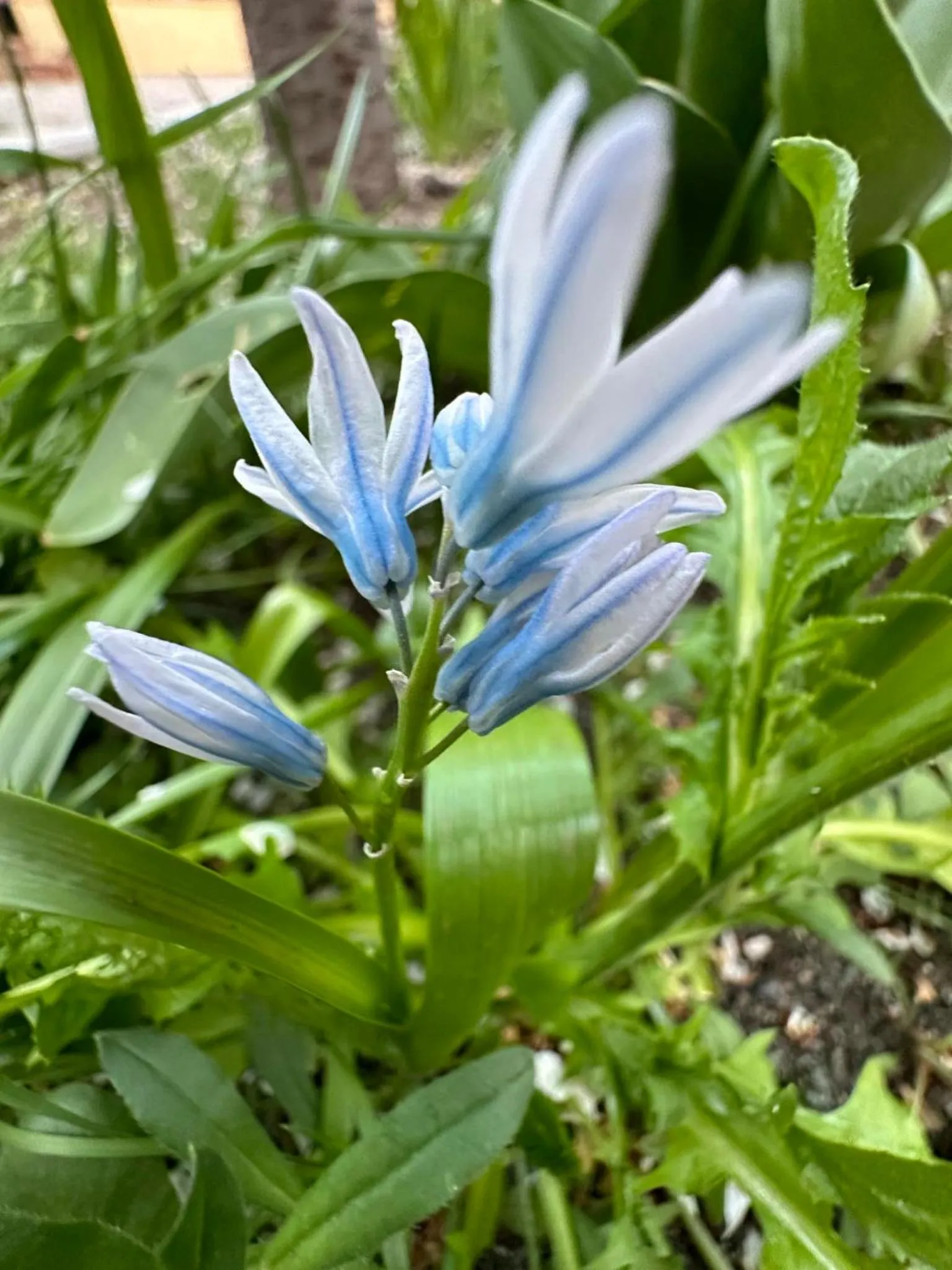 Li Yes Yerevan hotel