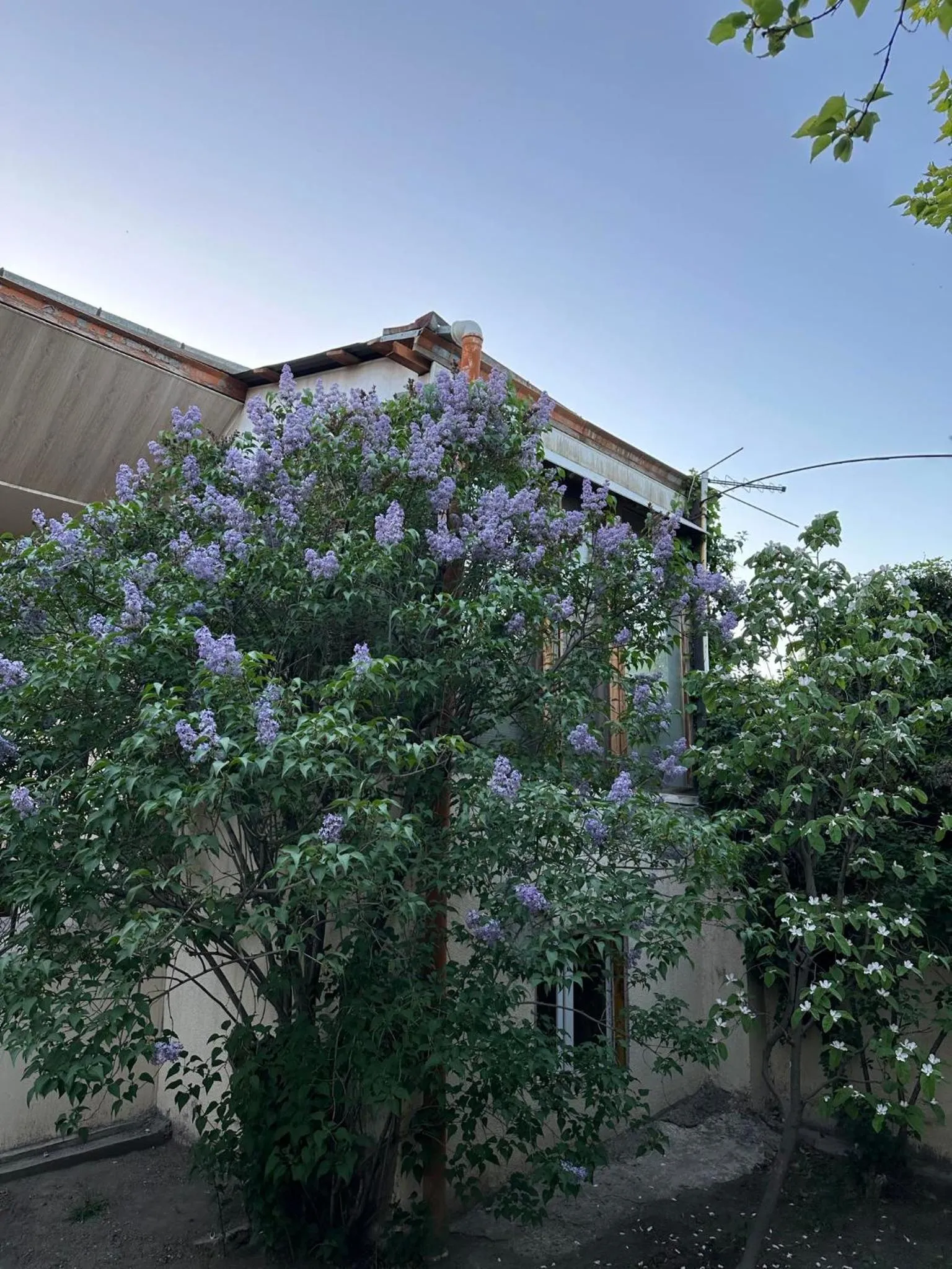 Li Yes Yerevan hotel