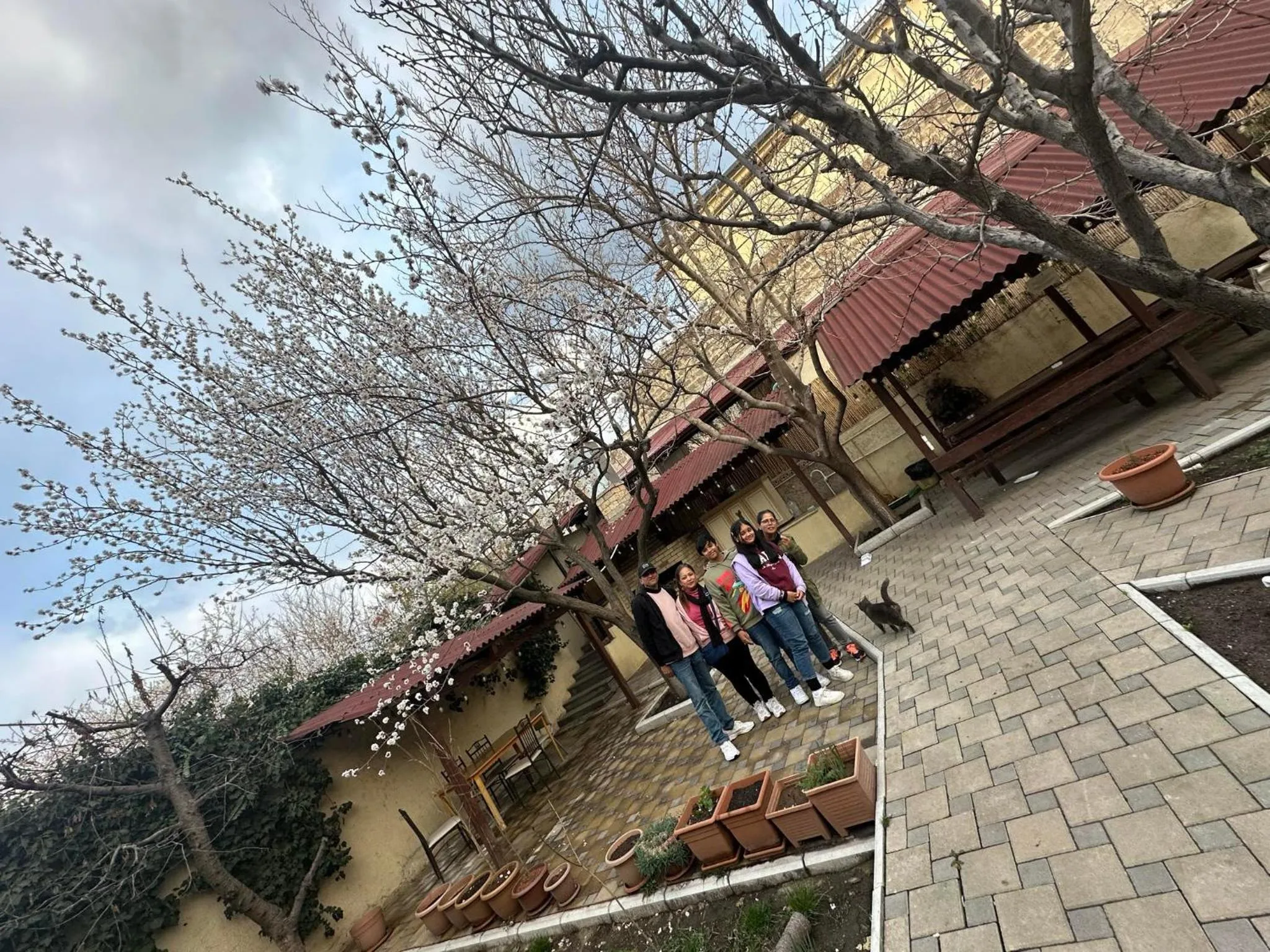 Li Yes Yerevan hotel