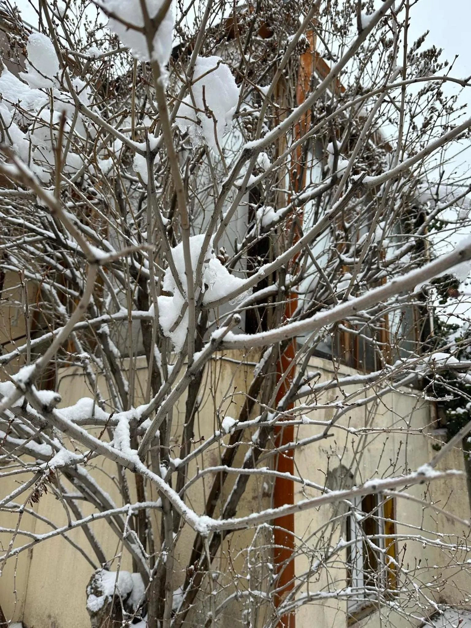 Li Yes Yerevan hotel