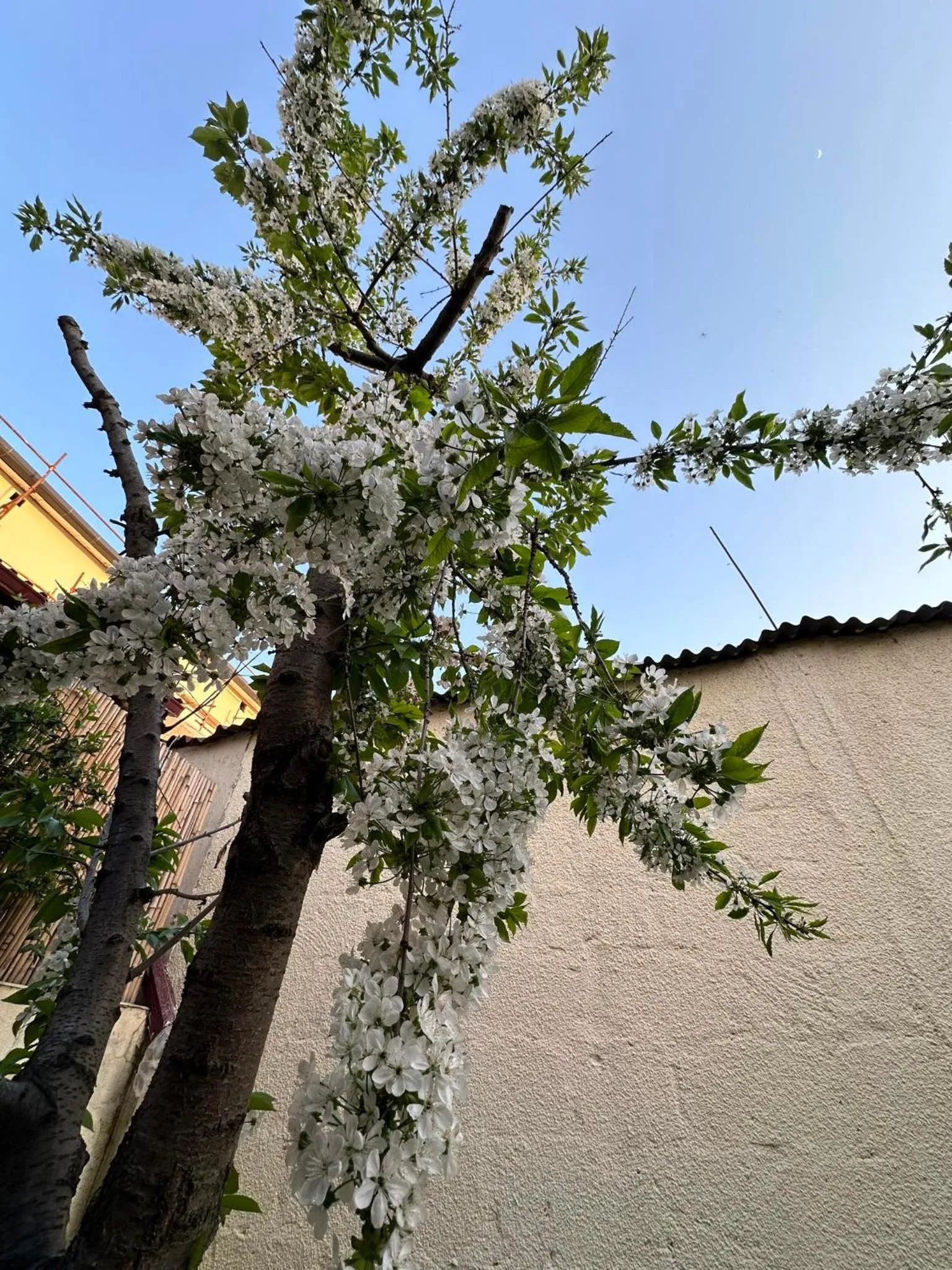 Li Yes Yerevan hotel