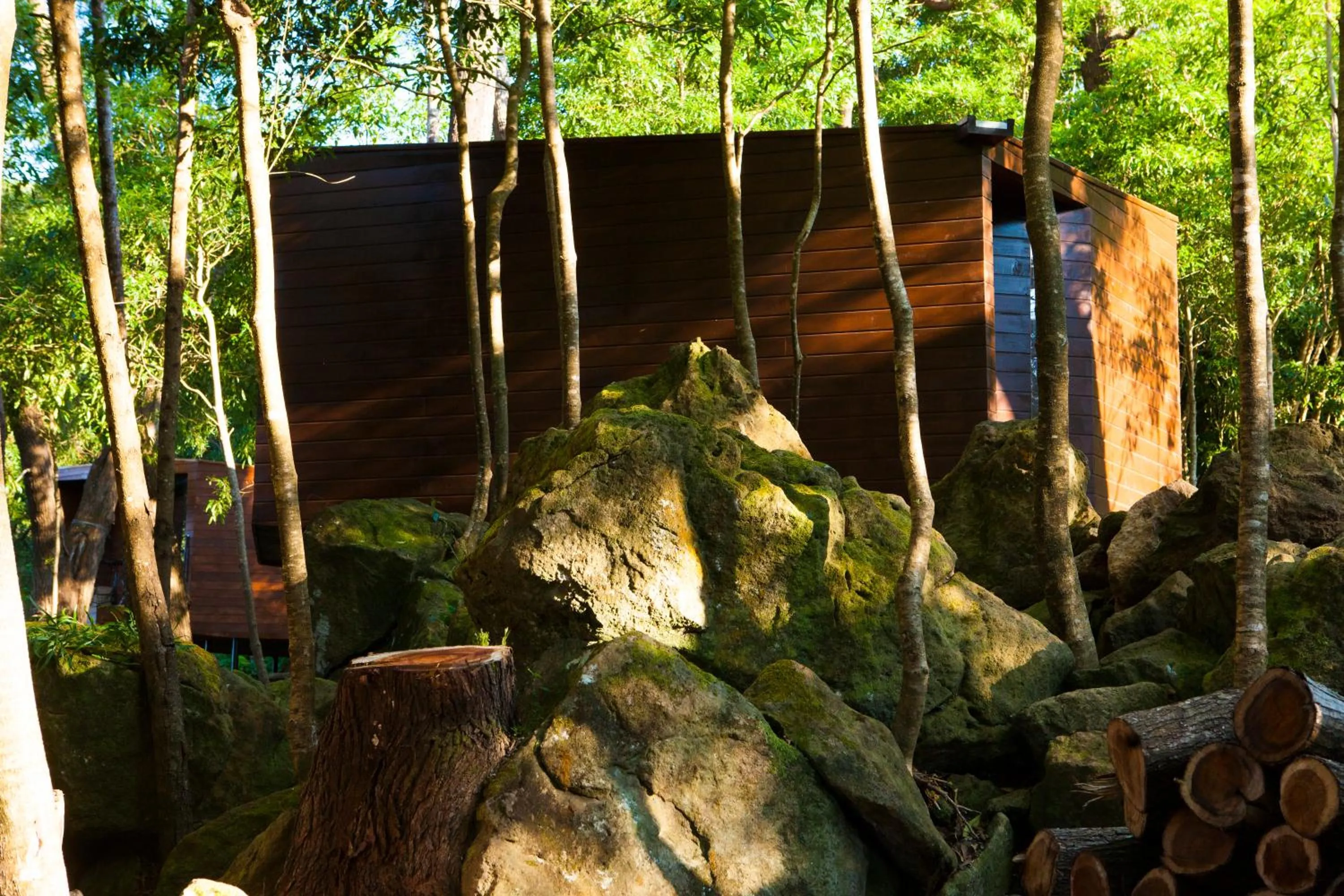 Natural landscape in Caparica Azores Ecolodge