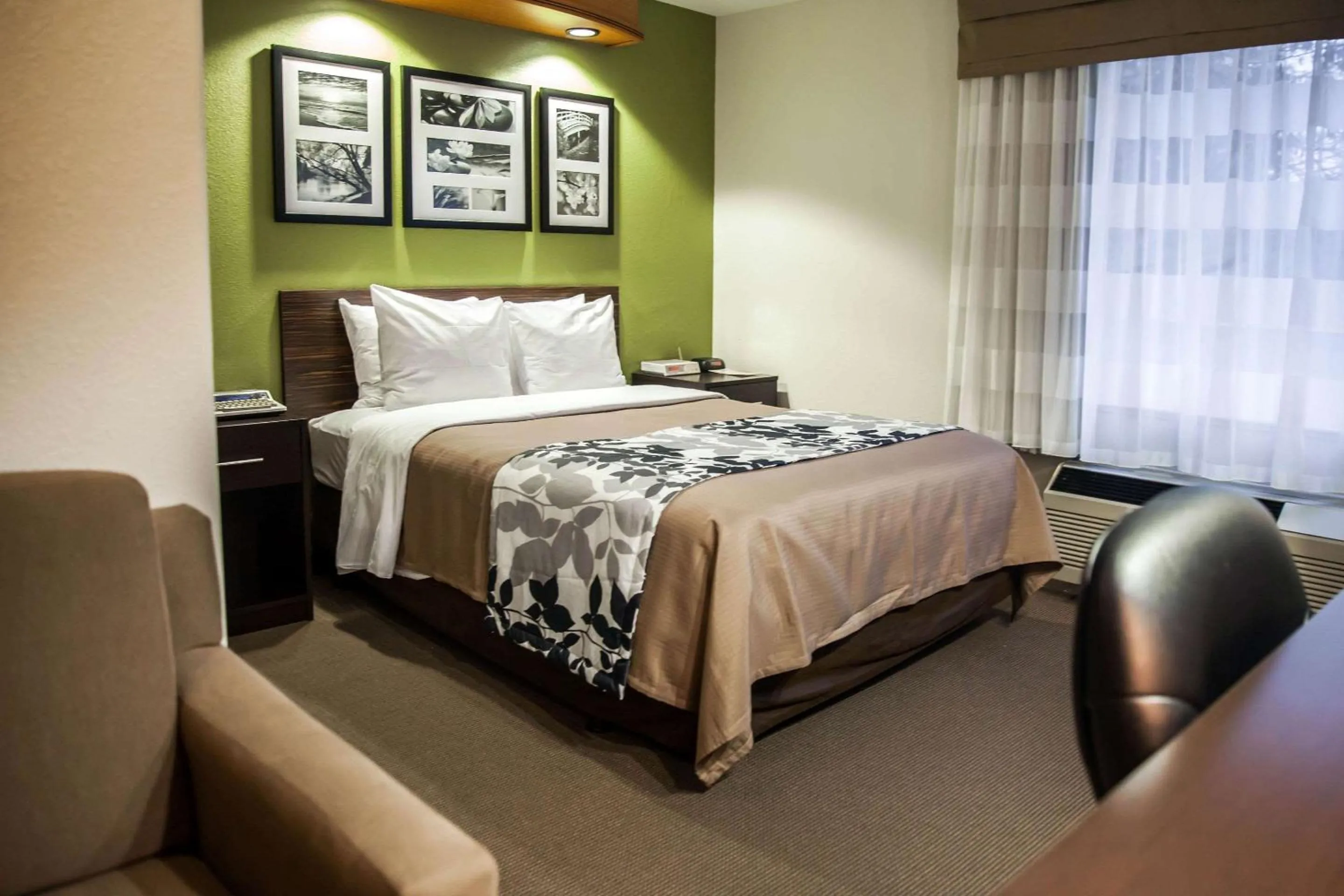 Photo of the whole room in Sleep Inn & Suites