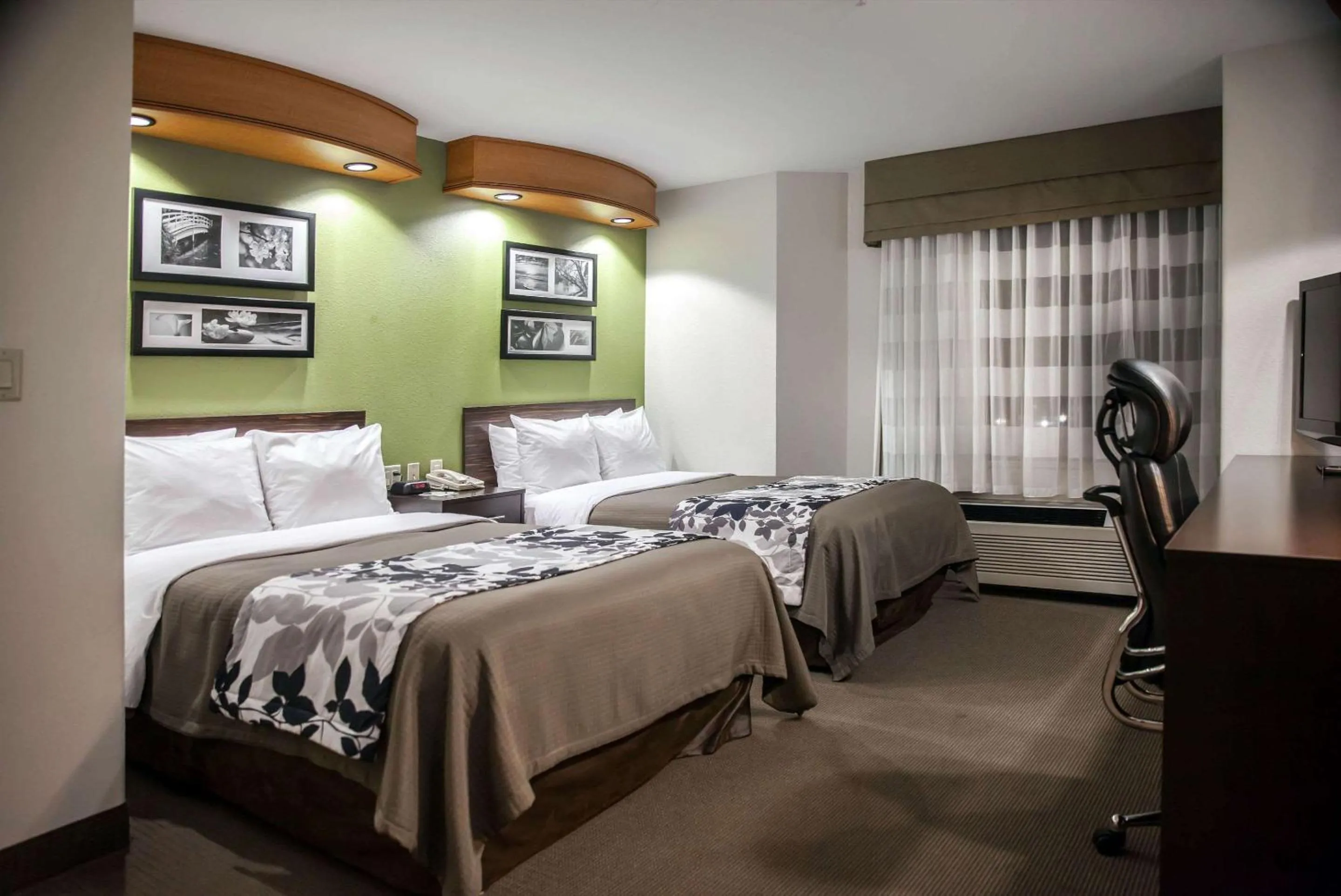 Photo of the whole room in Sleep Inn & Suites