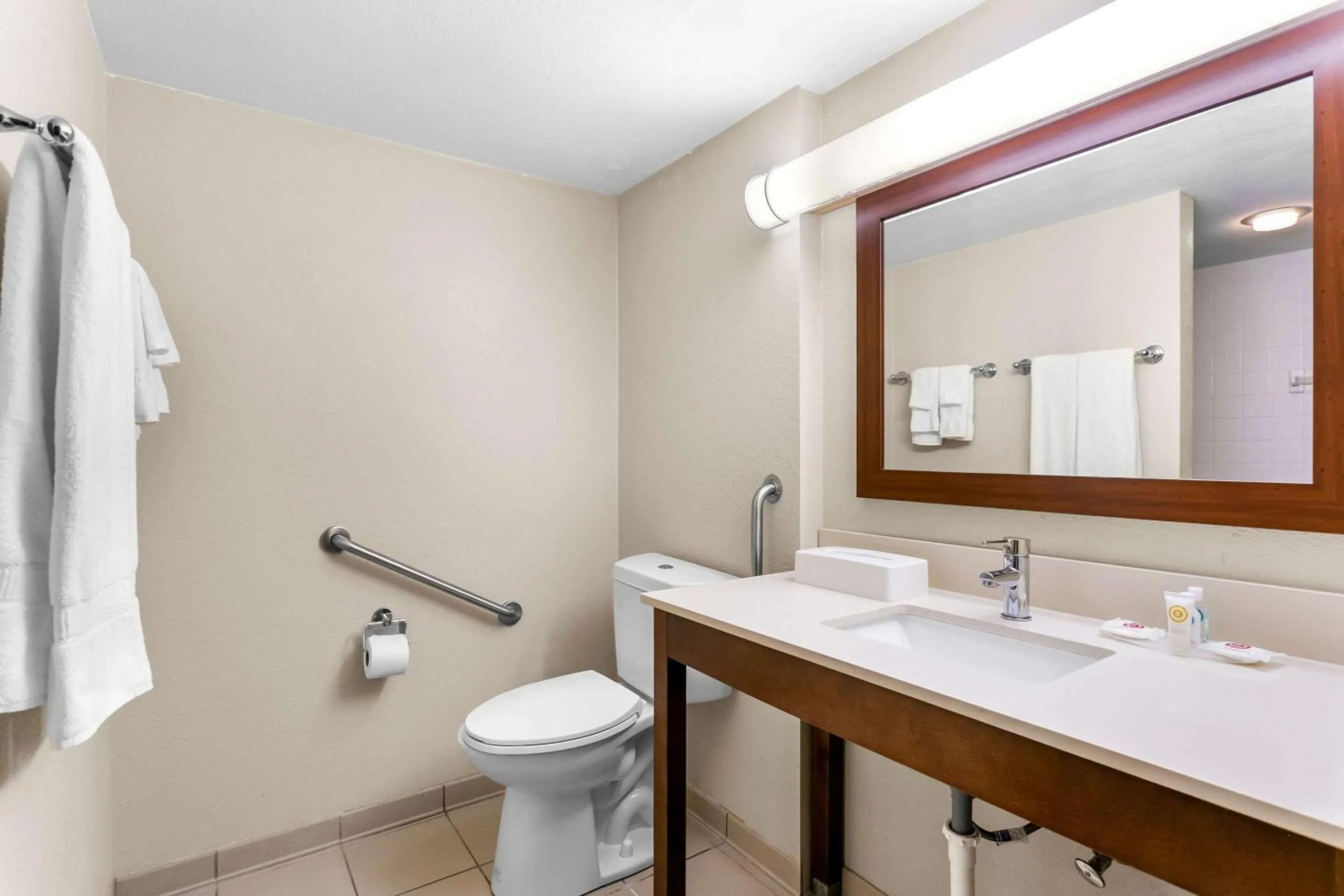 Bathroom in Comfort Inn Red Horse Frederick