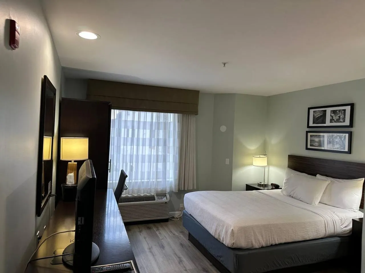 Bed in Wingate by Wyndham Bel Air I-95 Exit 77A - APG Area