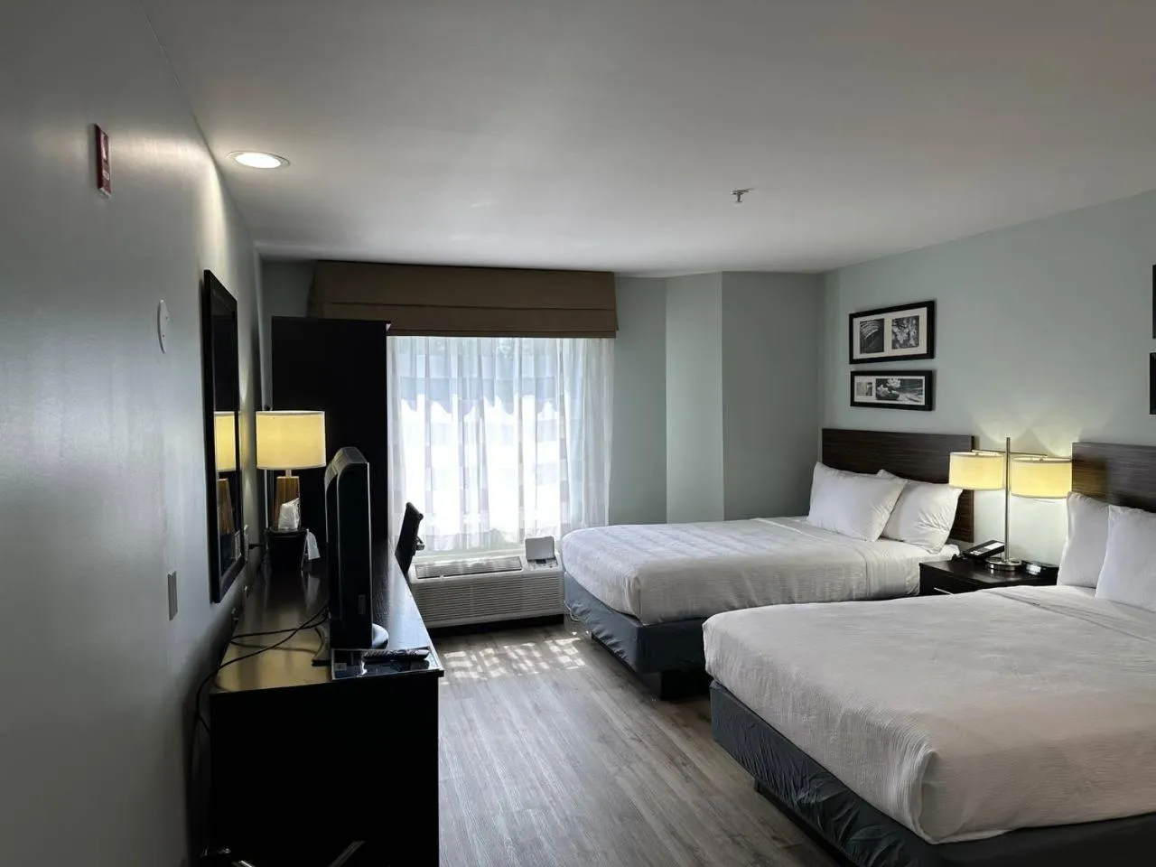 Bed in Wingate by Wyndham Bel Air I-95 Exit 77A - APG Area