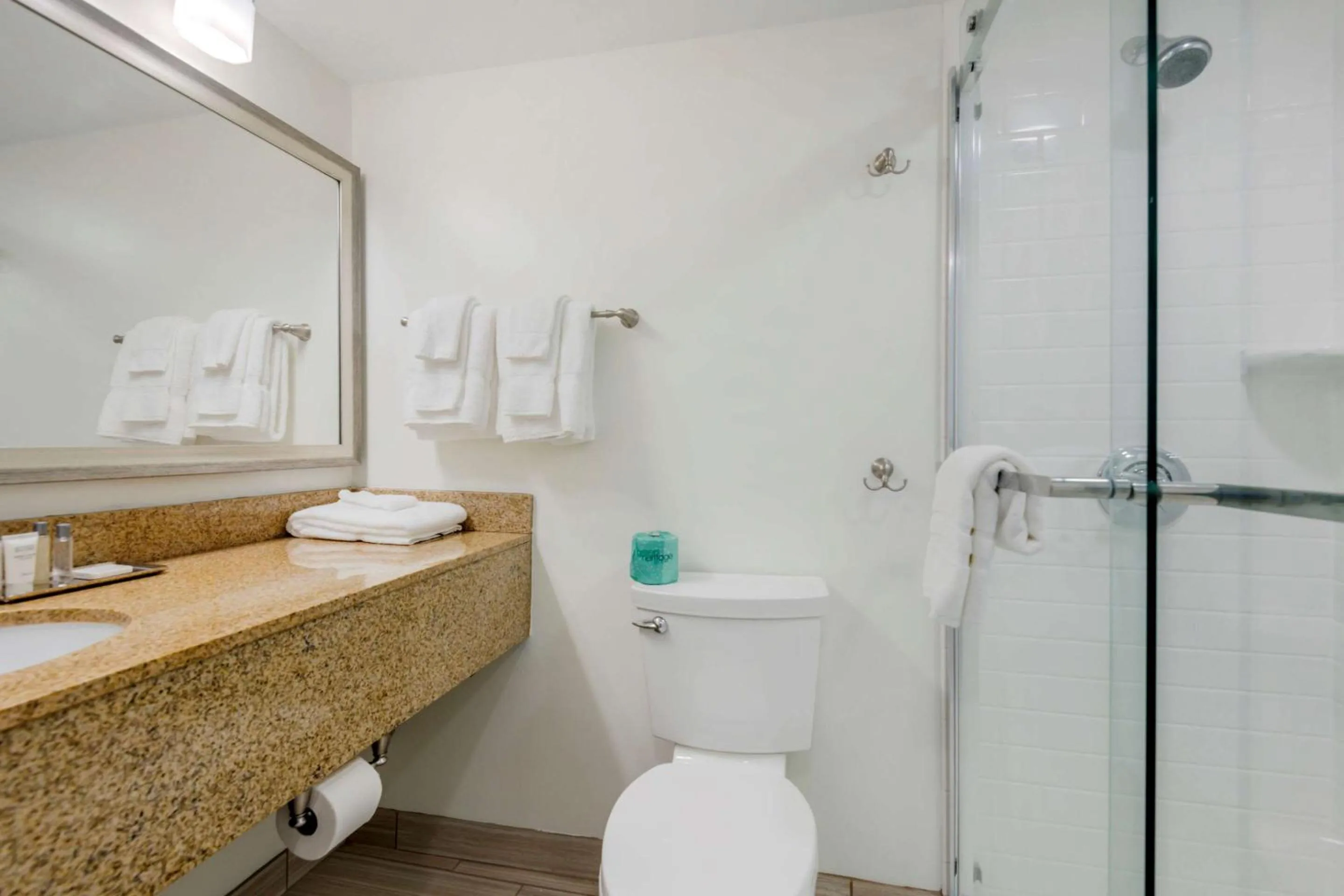 Bathroom in Seasider Motel