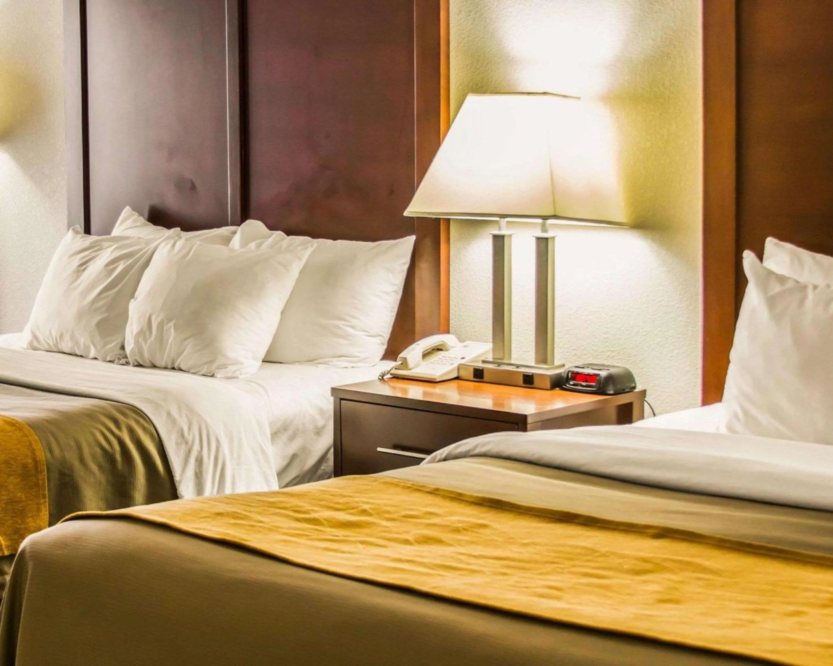 Photo of the whole room, Bed in Comfort Inn