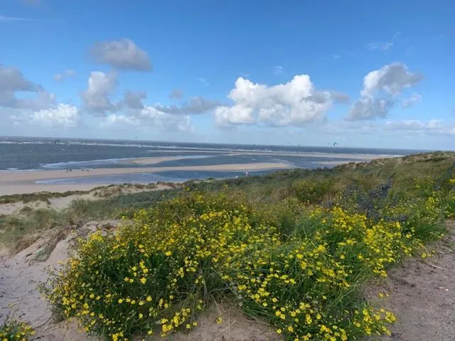 Beach in Oostvoornsch Gastenverblijf