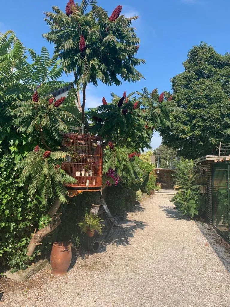 Patio in Oostvoornsch Gastenverblijf