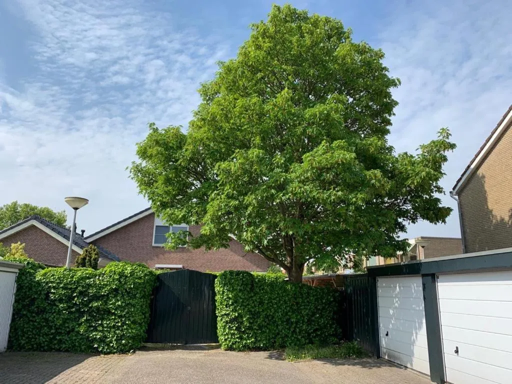 Oostvoornsch Gastenverblijf