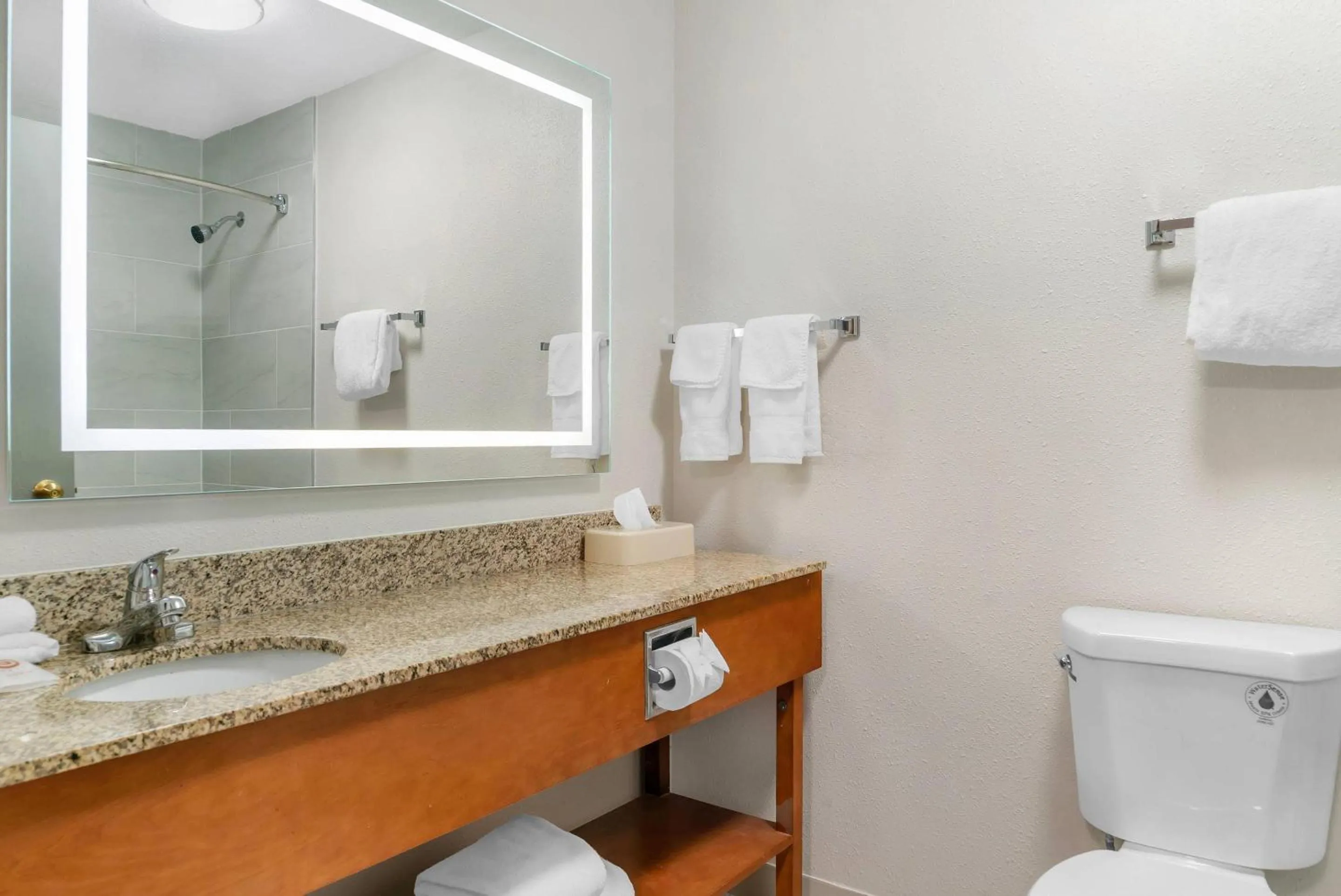 Bedroom in Comfort Suites Auburn Hills-Detroit