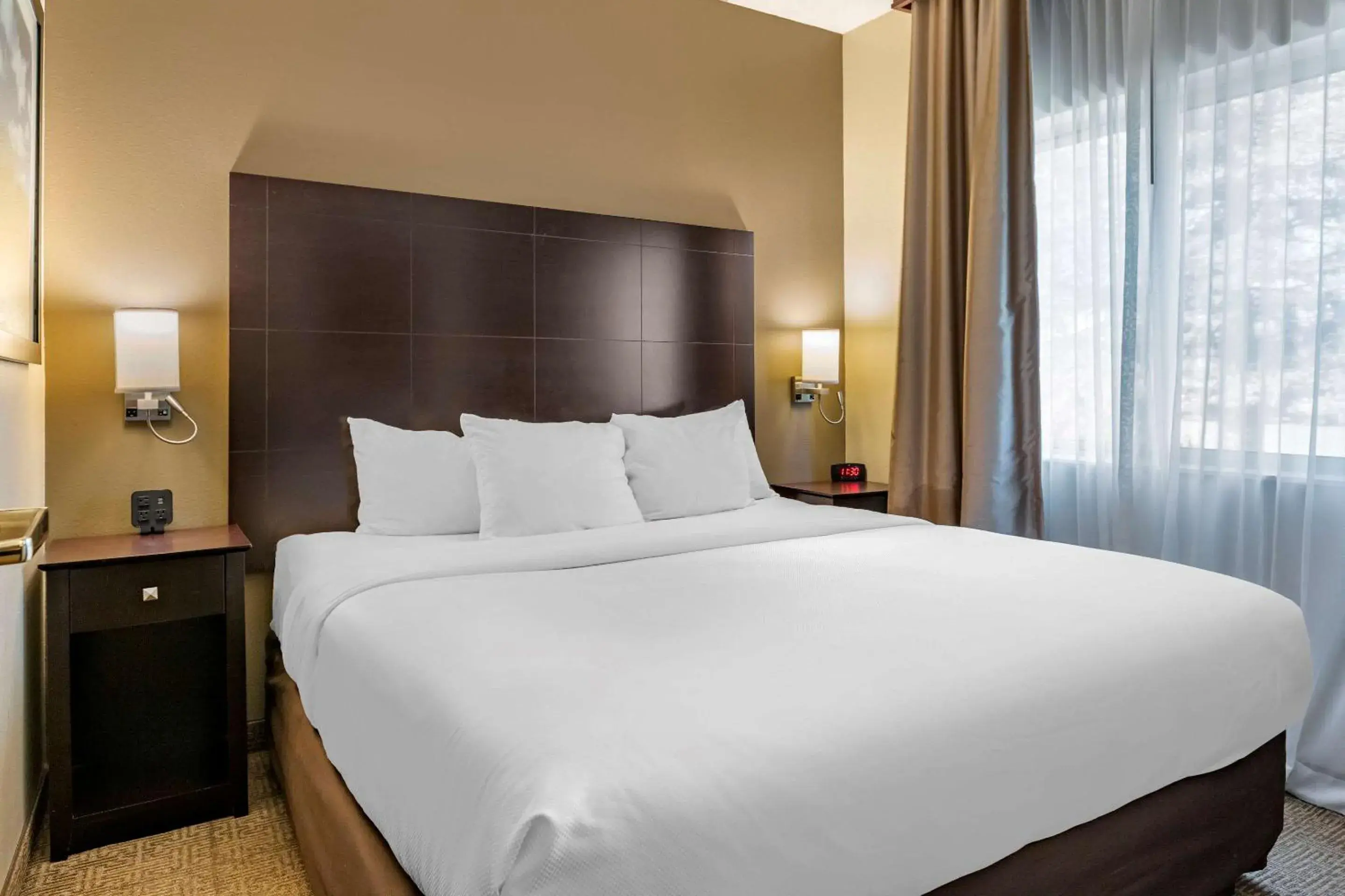 Queen Suite Efficiency Accessible Bathtub - Non Smoking in Comfort Inn & Suites Paw Paw Queen Suite Efficiency Accessible Bathtub - Non Smoking in Comfort Inn & Suites Paw Paw