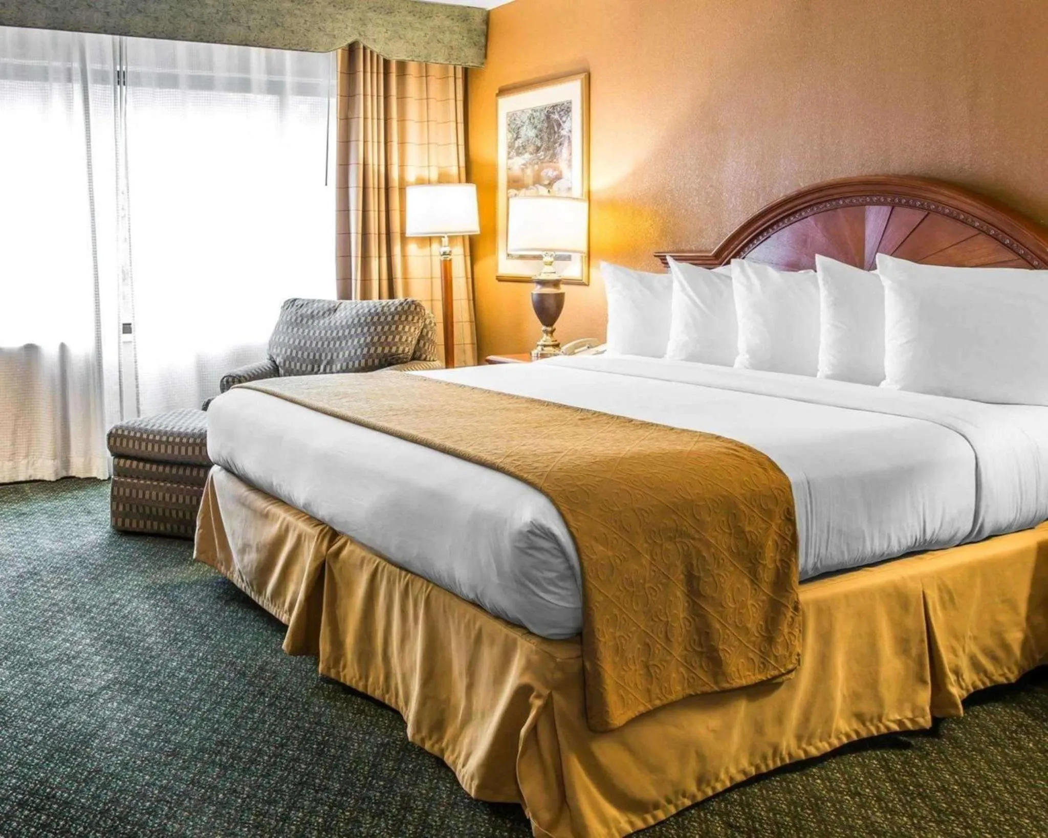 Photo of the whole room, Bed in Quality Inn