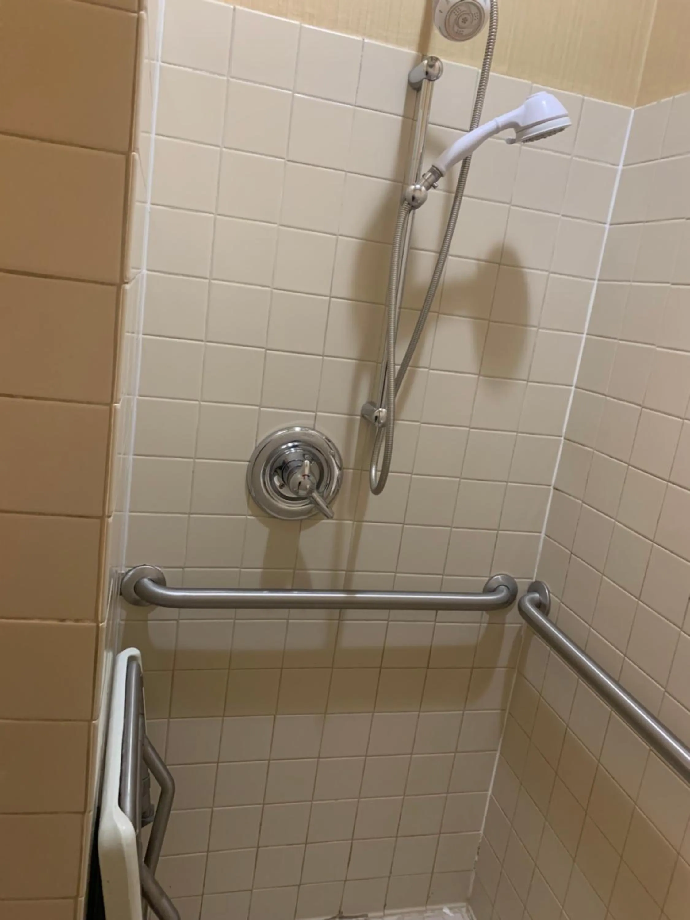 Shower in Comfort Inn Chelsea