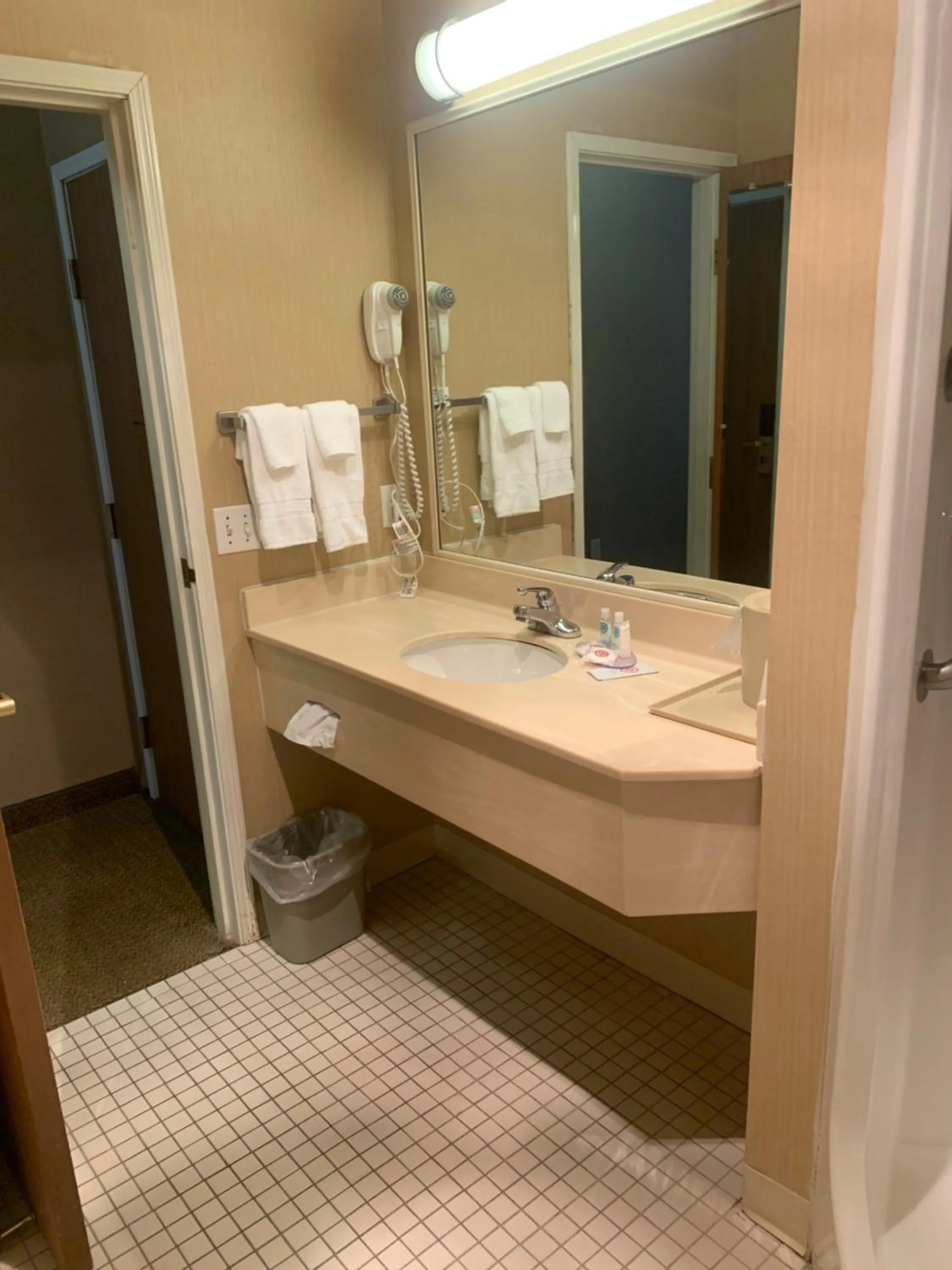 Bathroom in Comfort Inn Chelsea