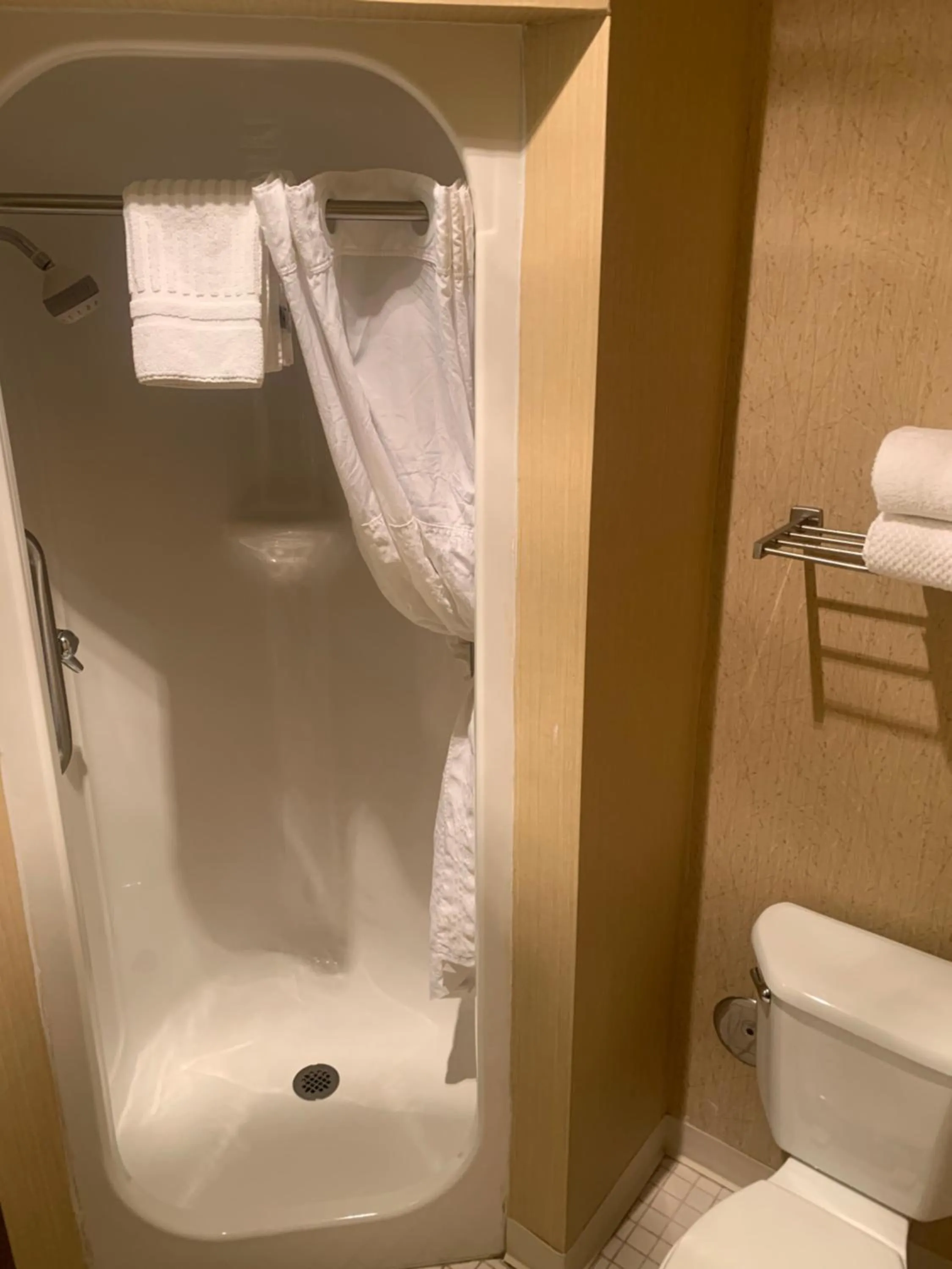 Shower in Comfort Inn Chelsea
