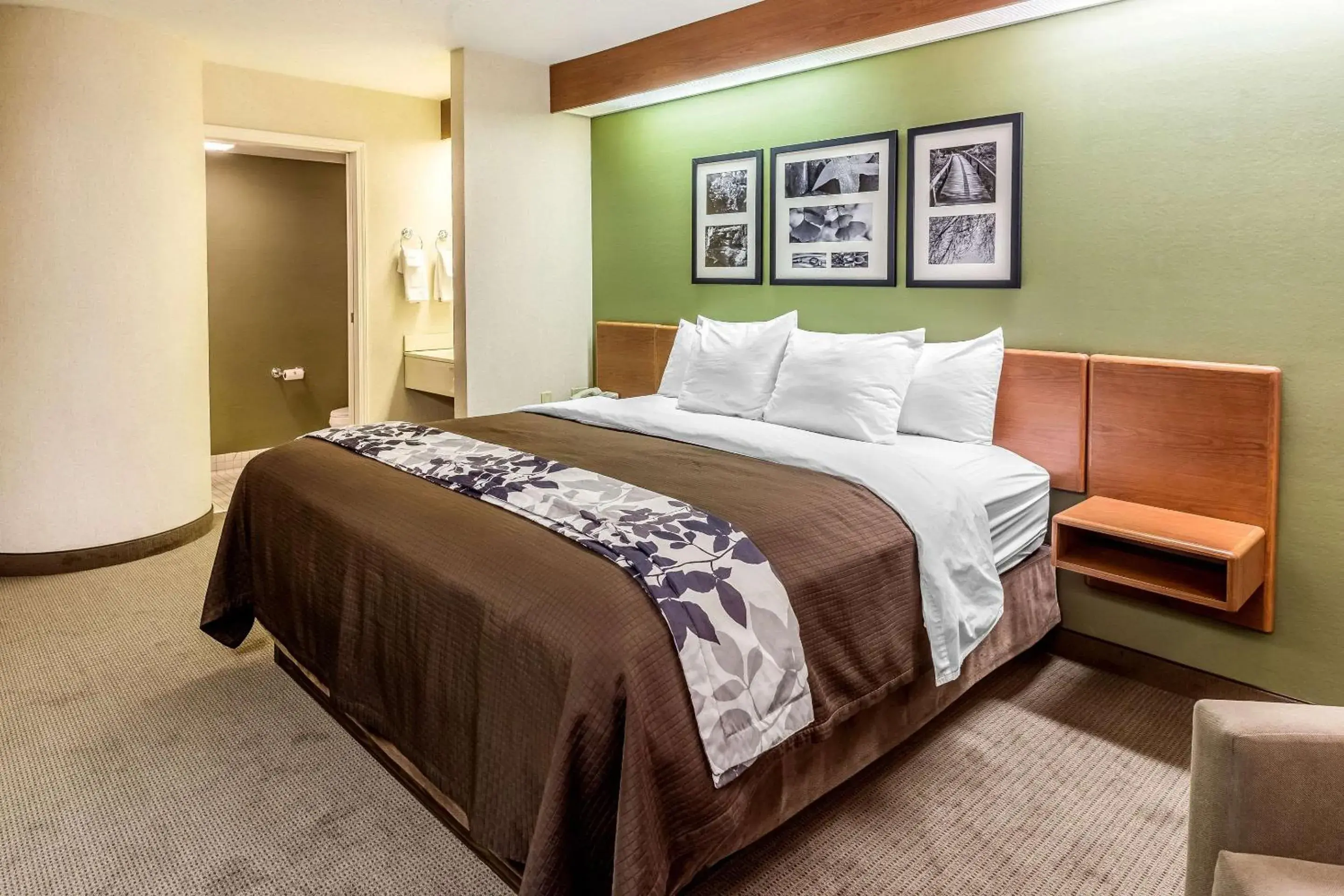 King Room in Sleep Inn & Suites Bay View Acme - Traverse City King Room in Sleep Inn & Suites Bay View Acme - Traverse City