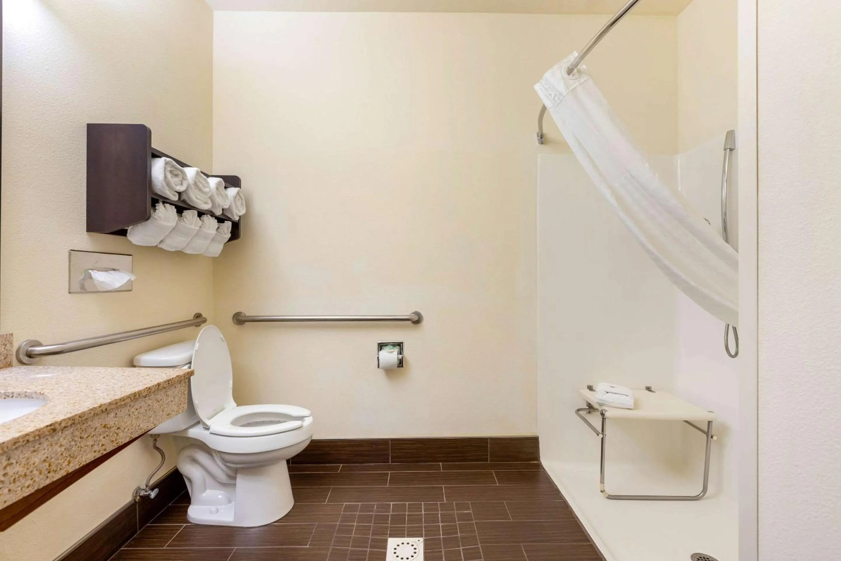 Bathroom in Comfort Suites Stevensville - St Joseph