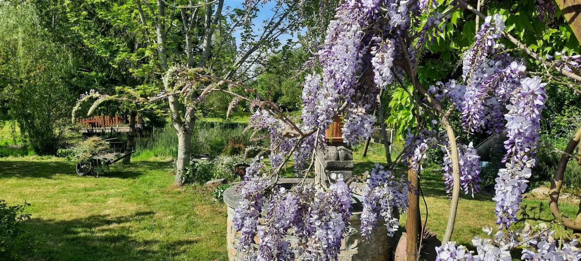 Garden in L'instant bleu