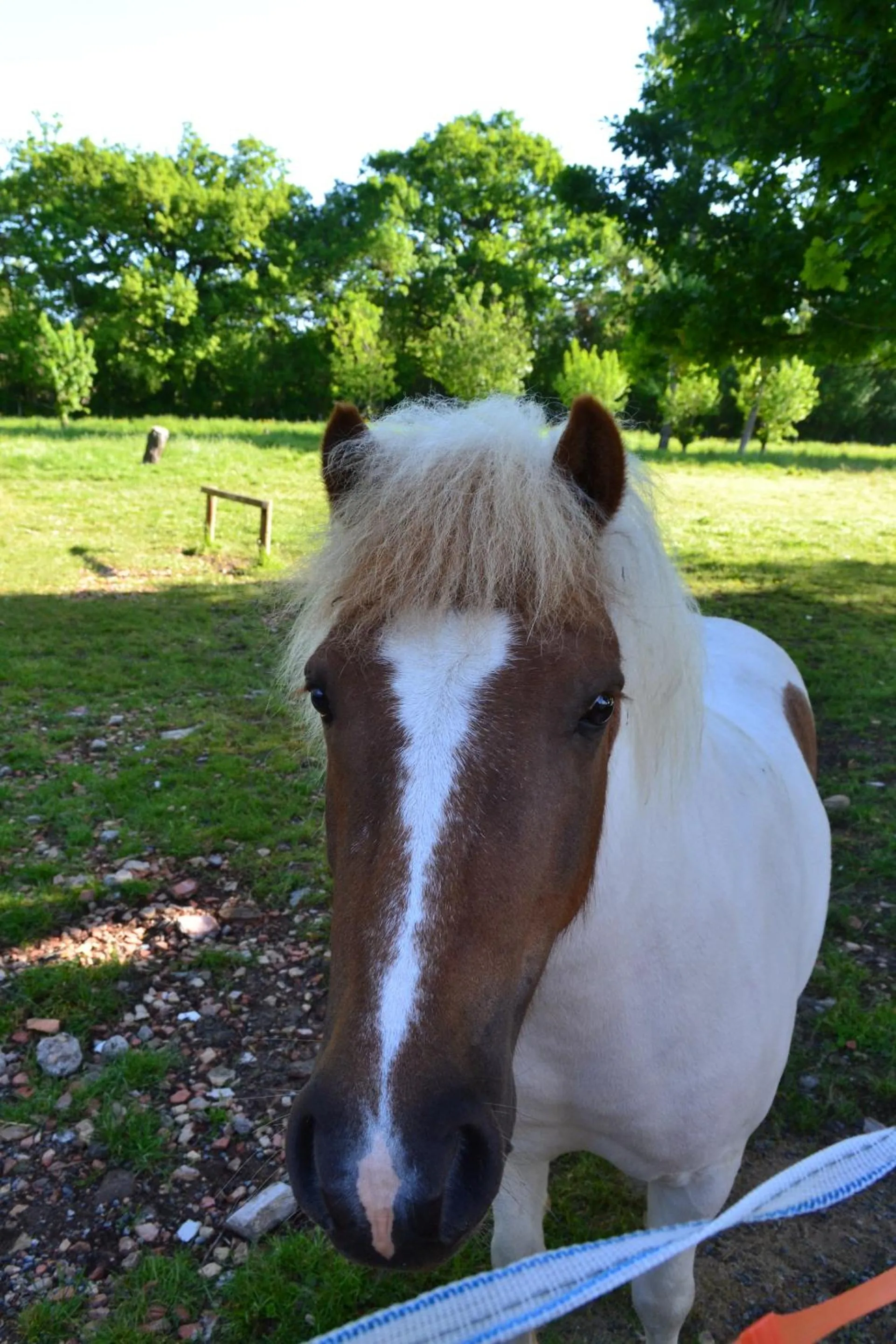 Property building in L'instant bleu