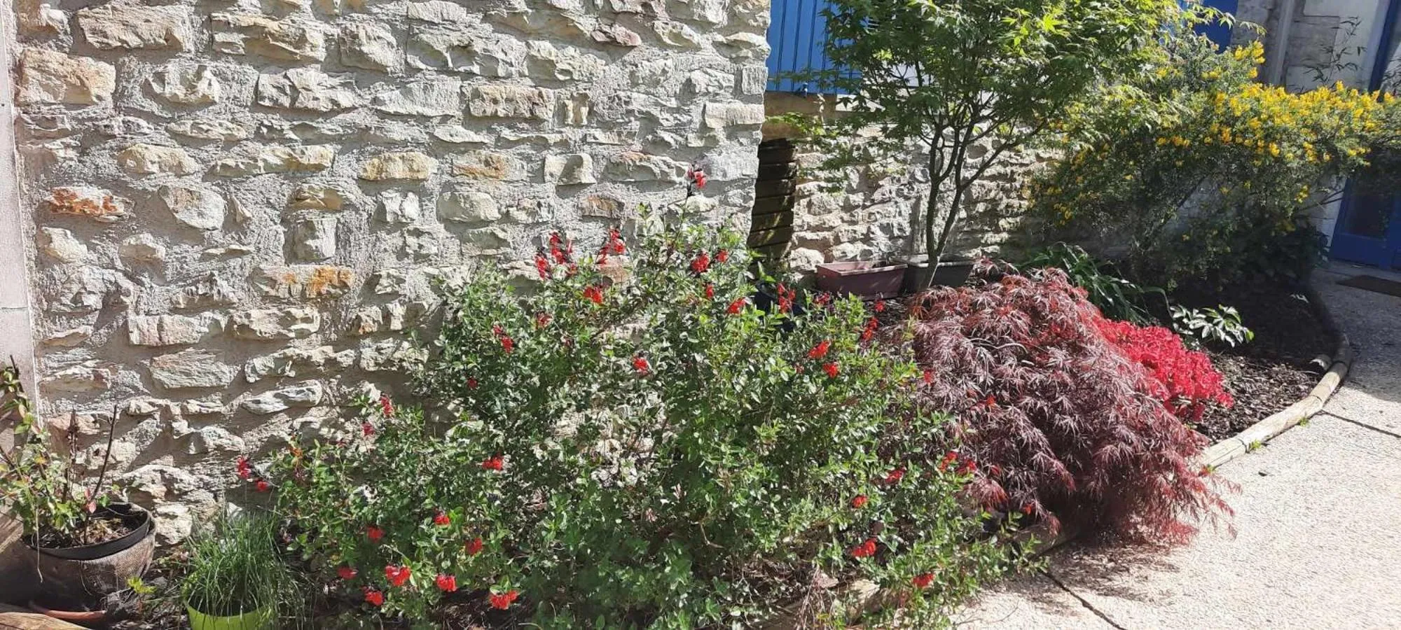 Garden in L'instant bleu