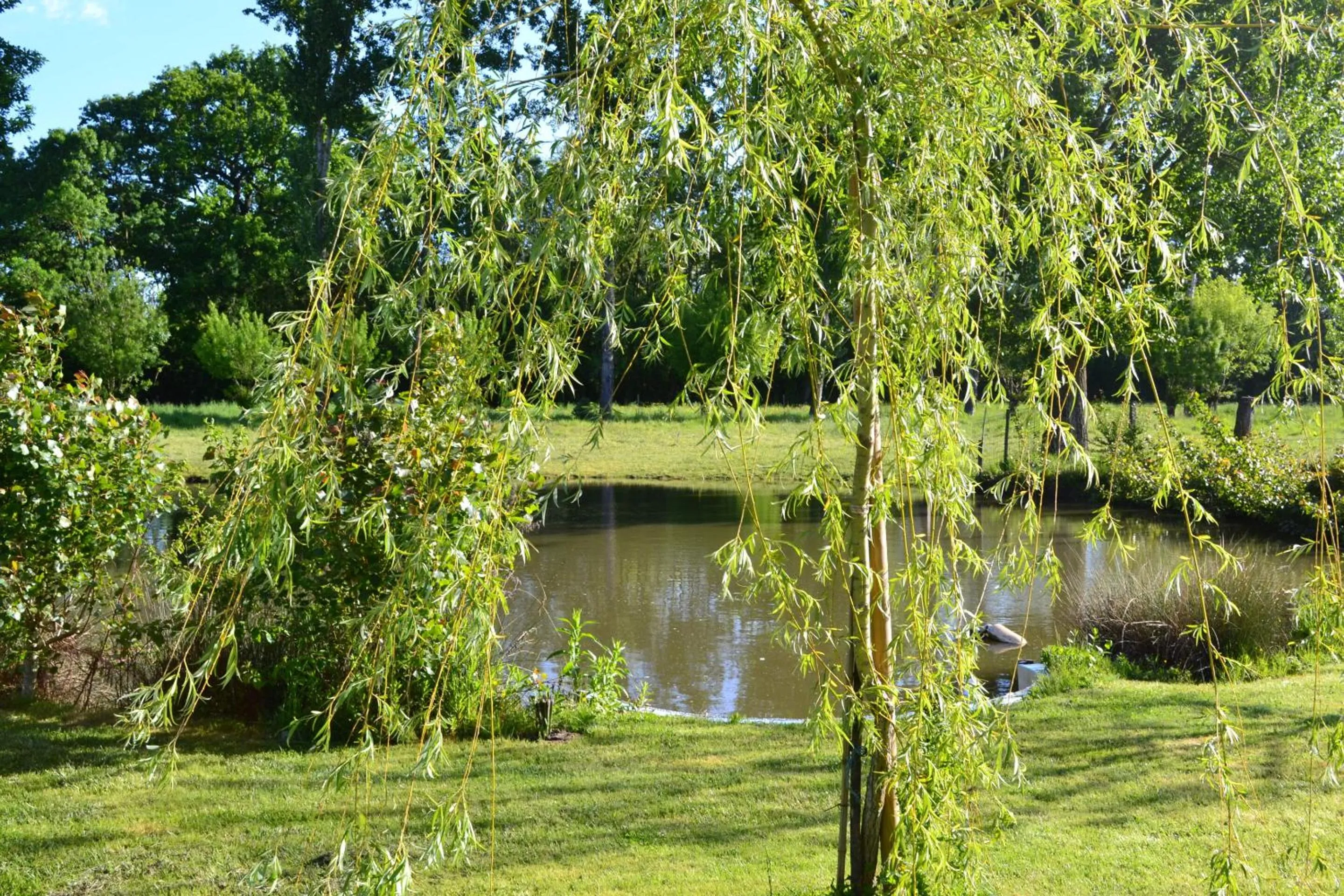 Property building in L'instant bleu