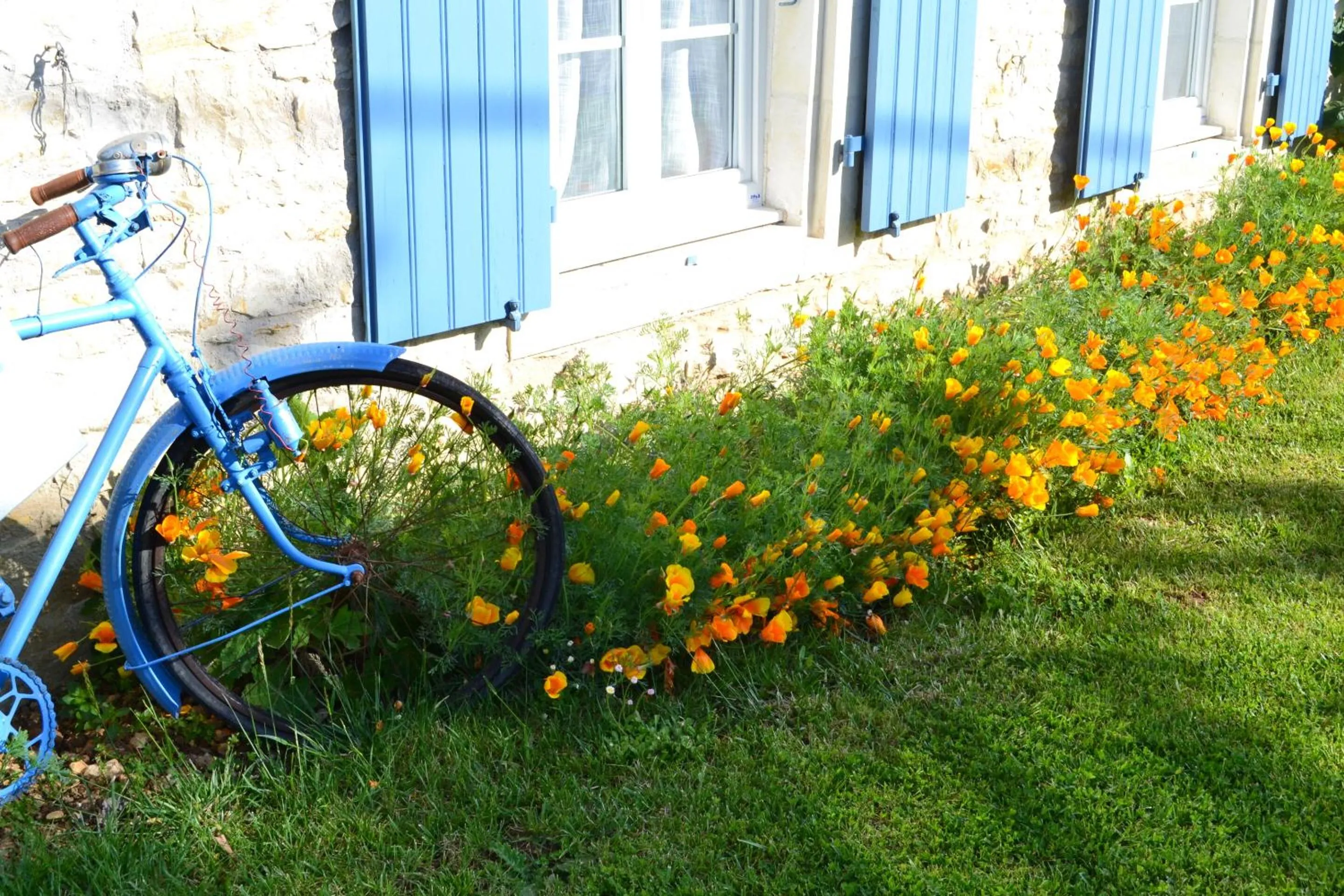 Property building in L'instant bleu