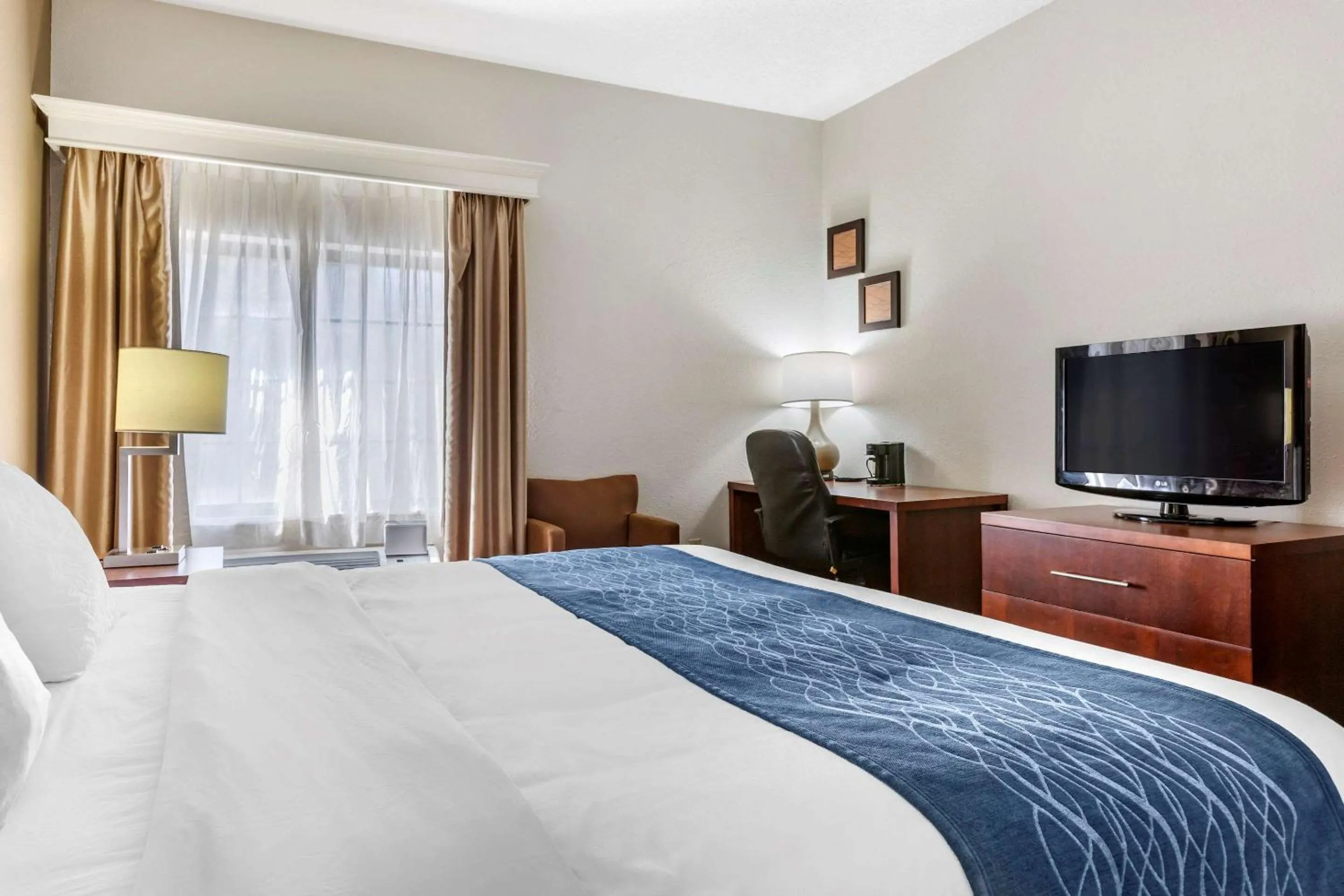 Photo of the whole room in Comfort Inn Downtown - University Area