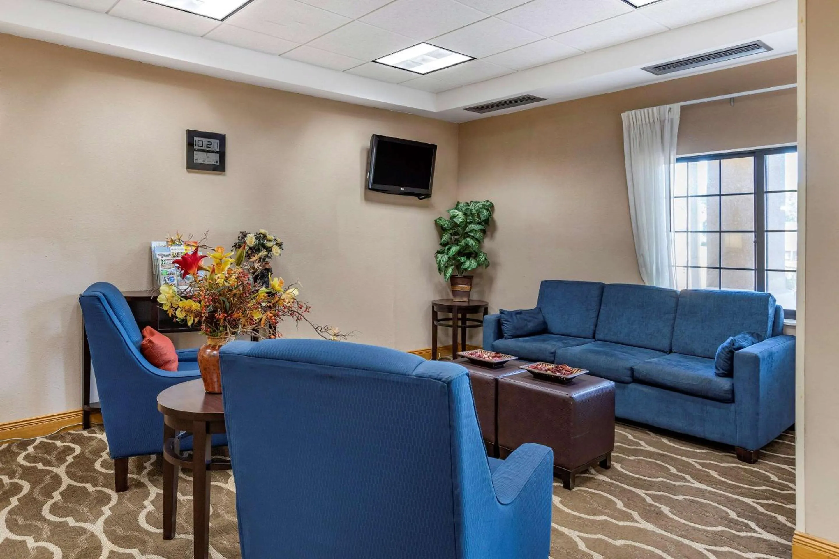 Lobby or reception in Comfort Inn Downtown - University Area