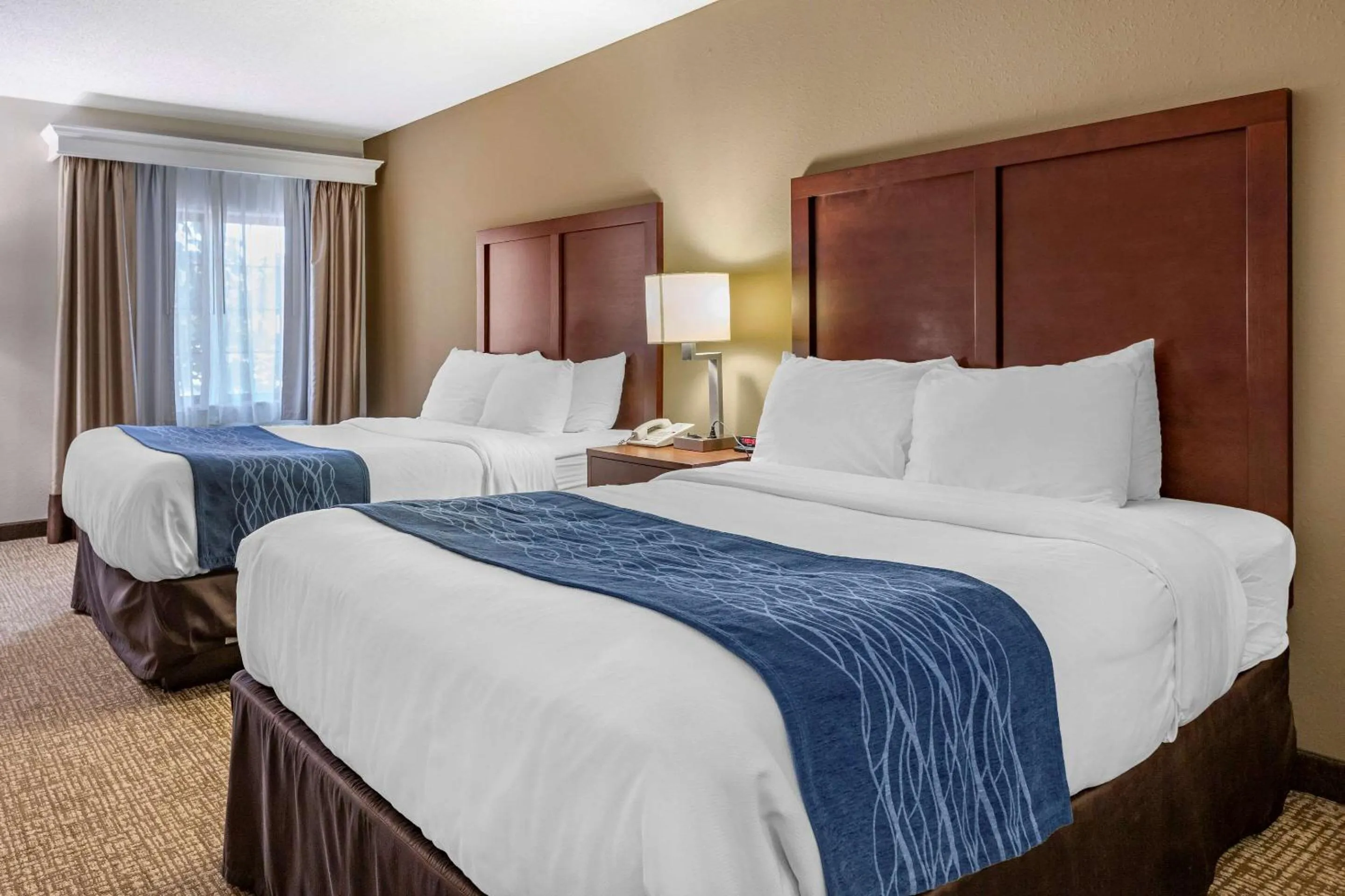 Photo of the whole room in Comfort Inn Downtown - University Area