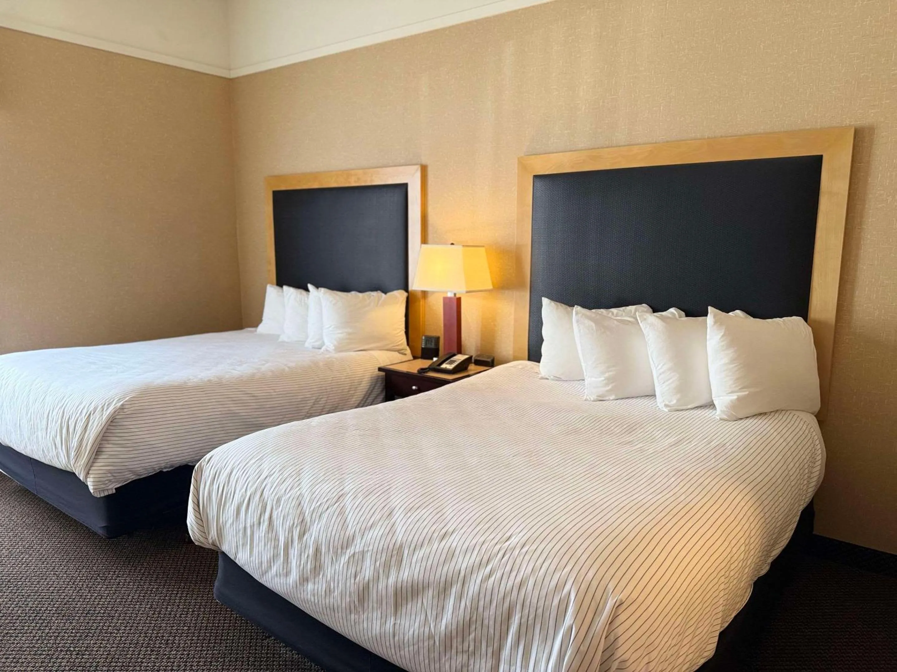 Bedroom, Bed in Cambria Hotel Traverse City