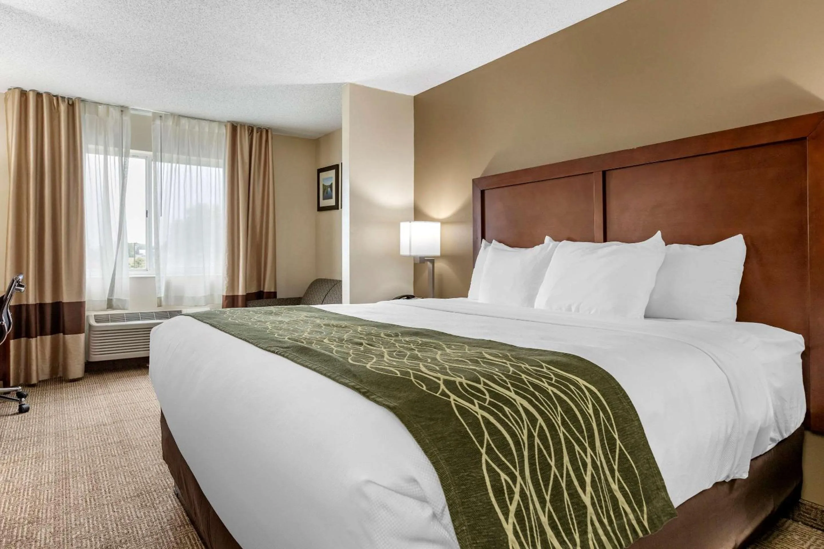 Photo of the whole room, Bed in Comfort Inn & Suites Dimondale - Lansing