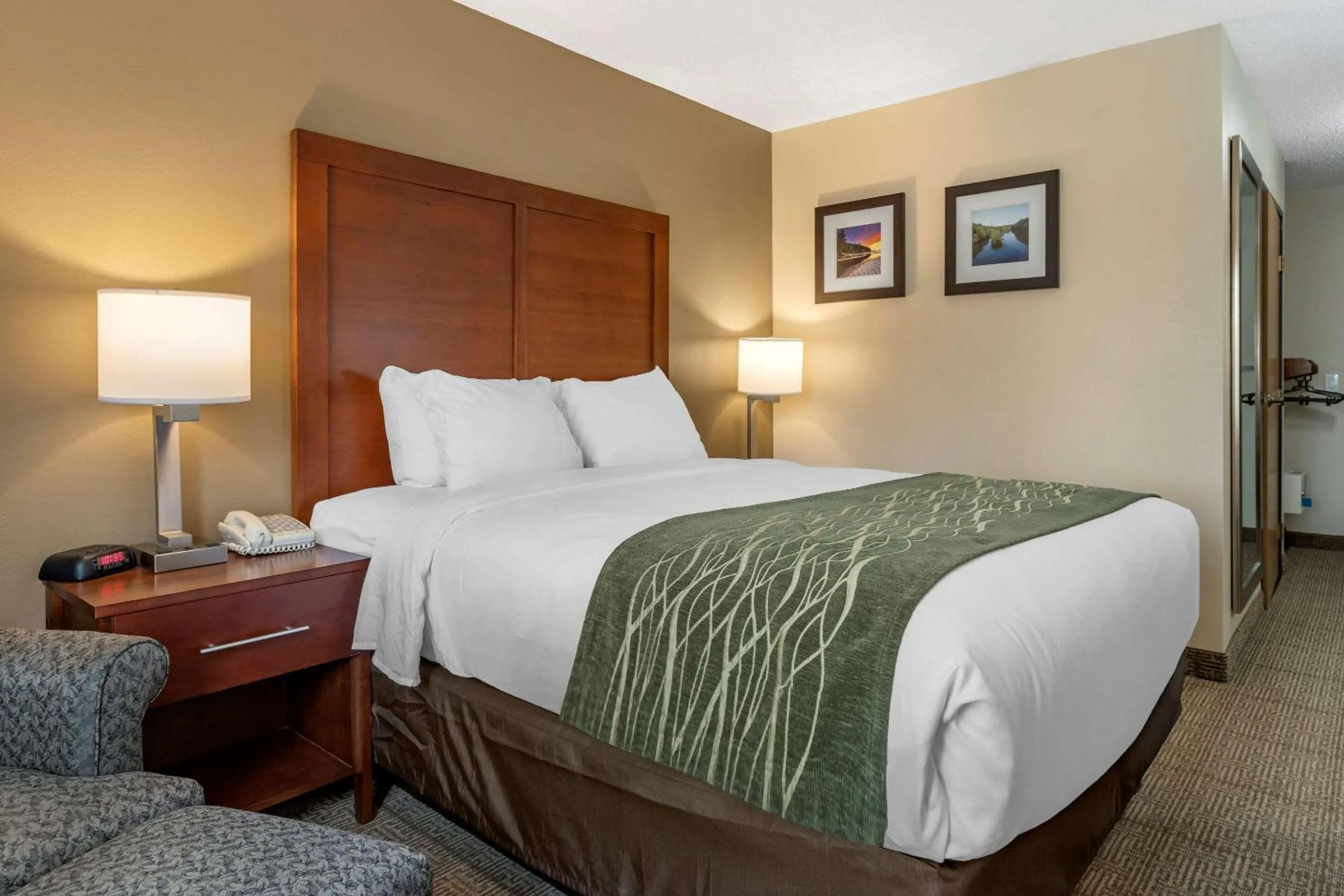 Photo of the whole room, Bed in Comfort Inn & Suites Dimondale - Lansing