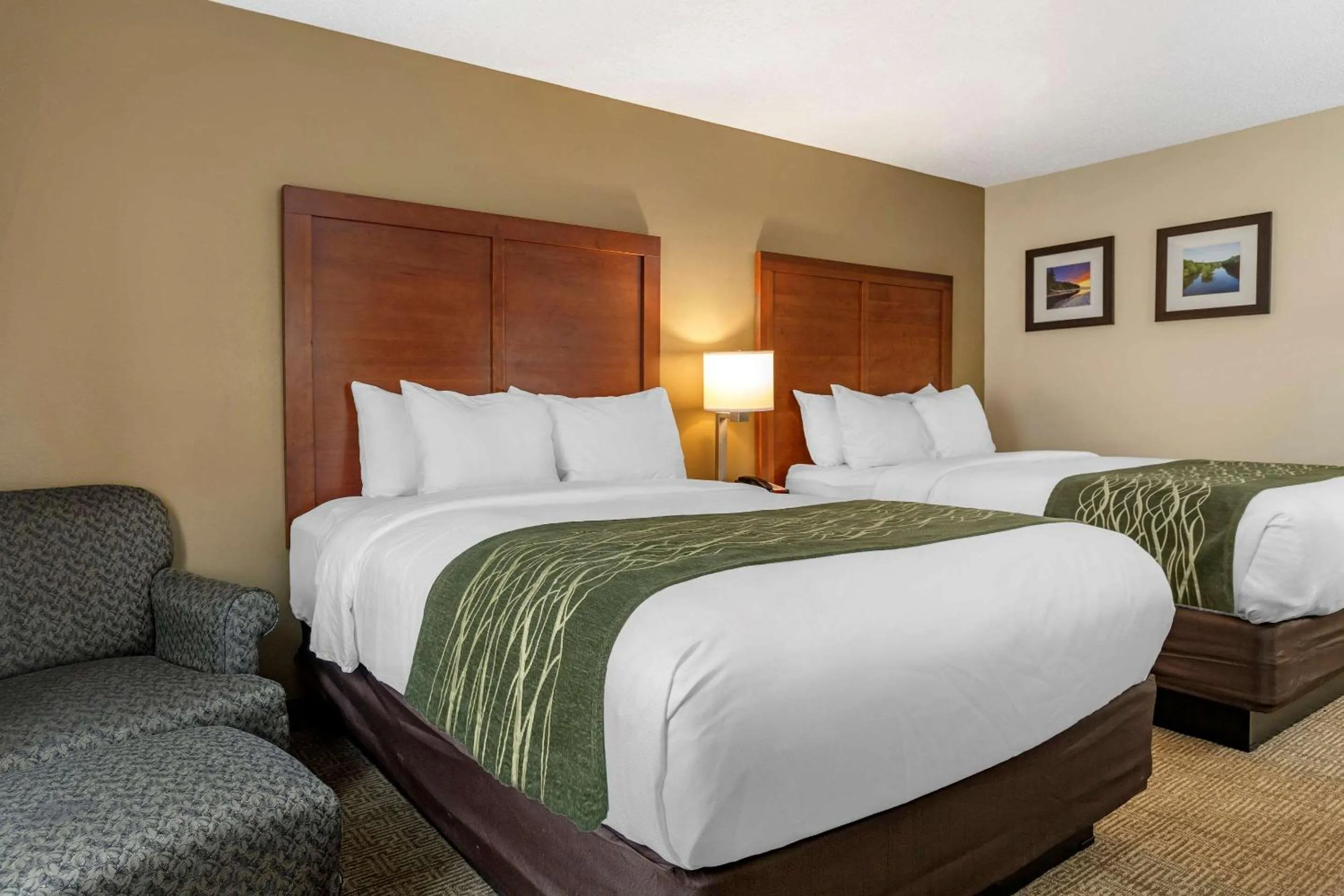Photo of the whole room, Bed in Comfort Inn & Suites Dimondale - Lansing