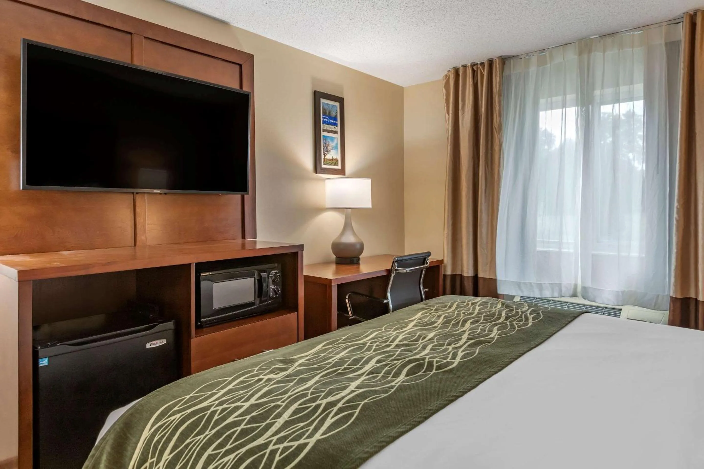 Photo of the whole room, Bed in Comfort Inn & Suites Dimondale - Lansing