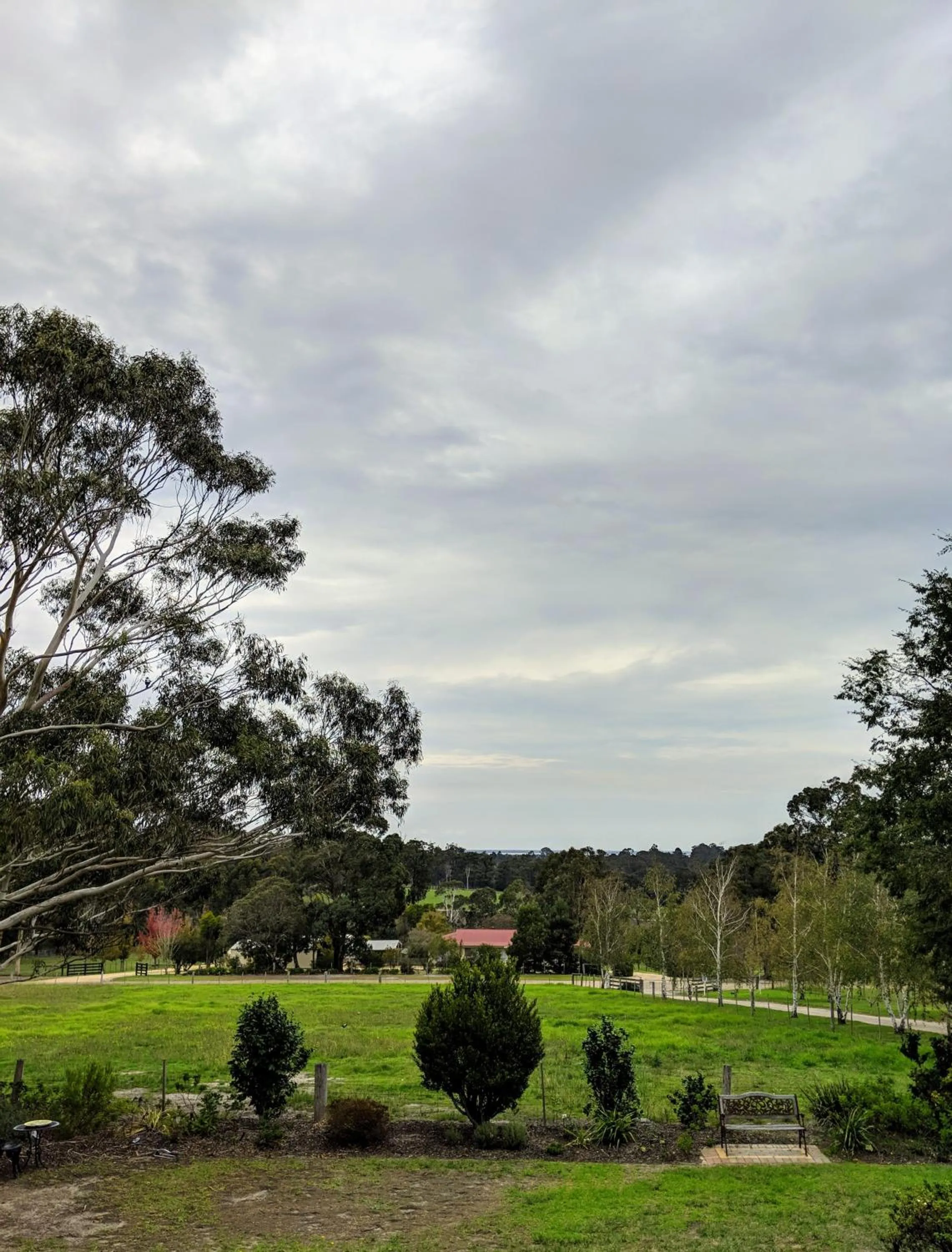 Natural landscape in Nicholson BnB and Arts Centre