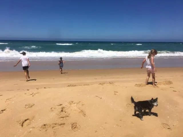 Beach in Nicholson BnB and Arts Centre
