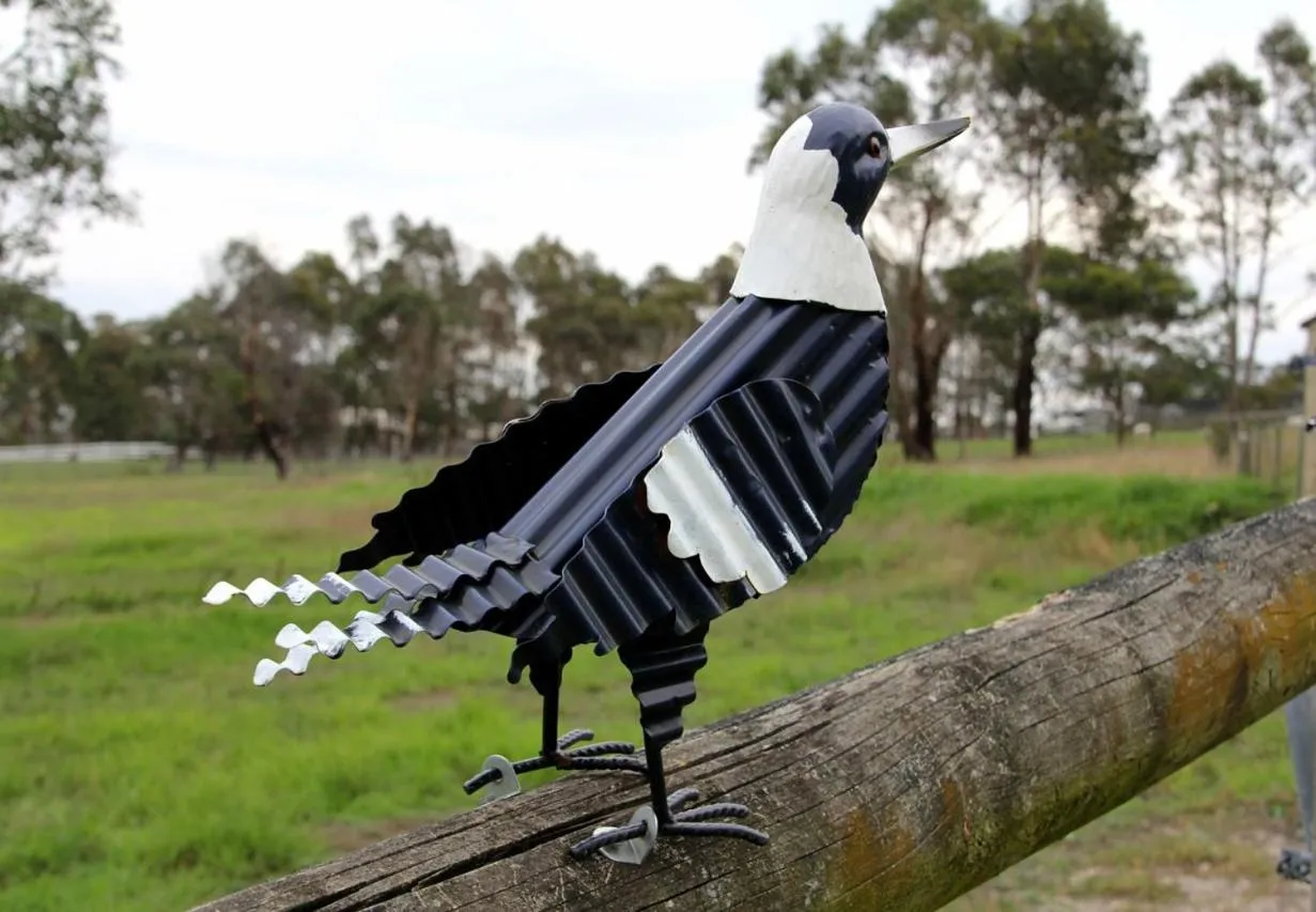 Animals in Nicholson BnB and Arts Centre