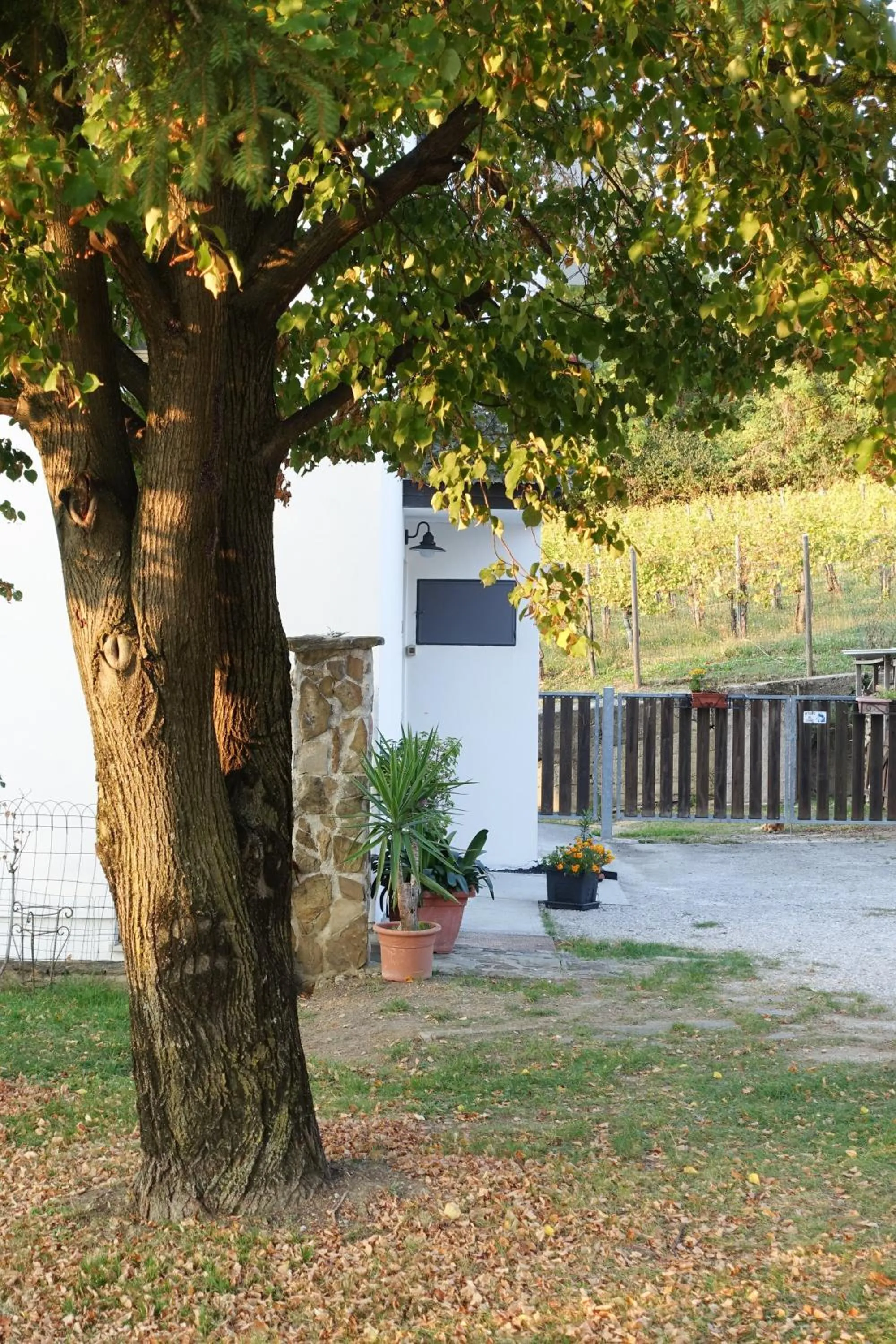 Property building in CasaRoman