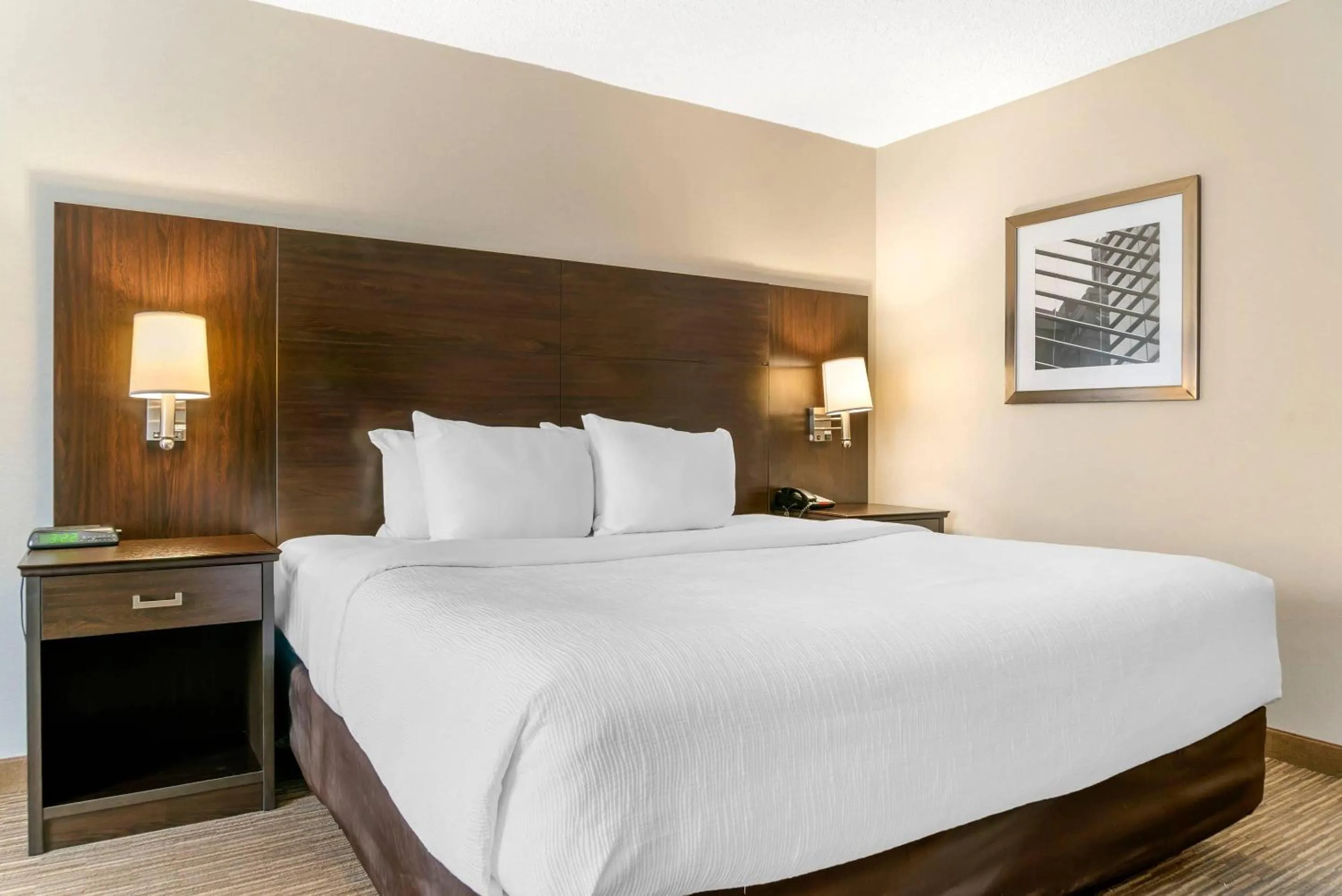 Bedroom, Bed in Quality Inn & Suites Monroe