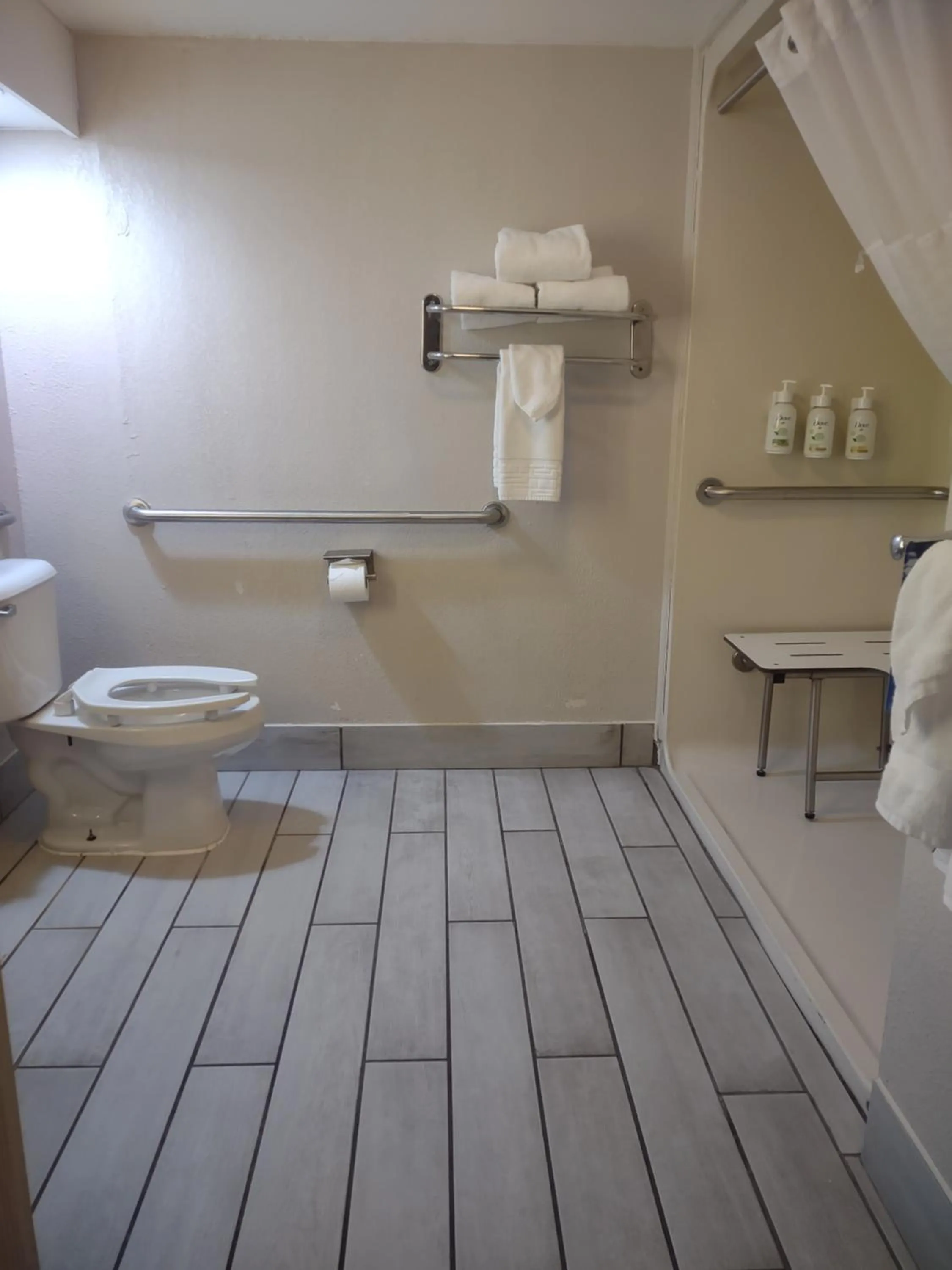 Bathroom in Baymont by Wyndham Flat Rock