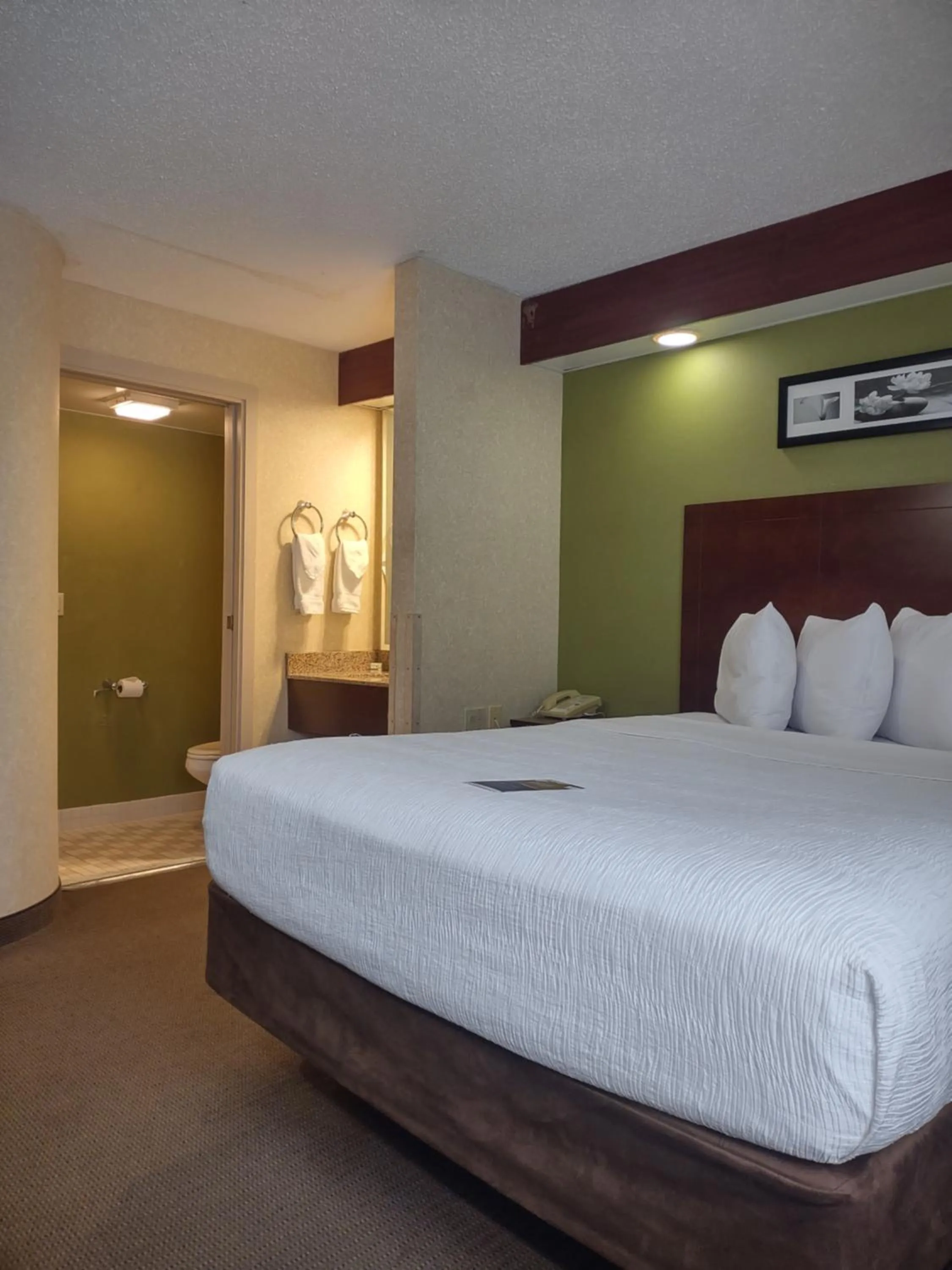 Bed in Baymont by Wyndham Flat Rock