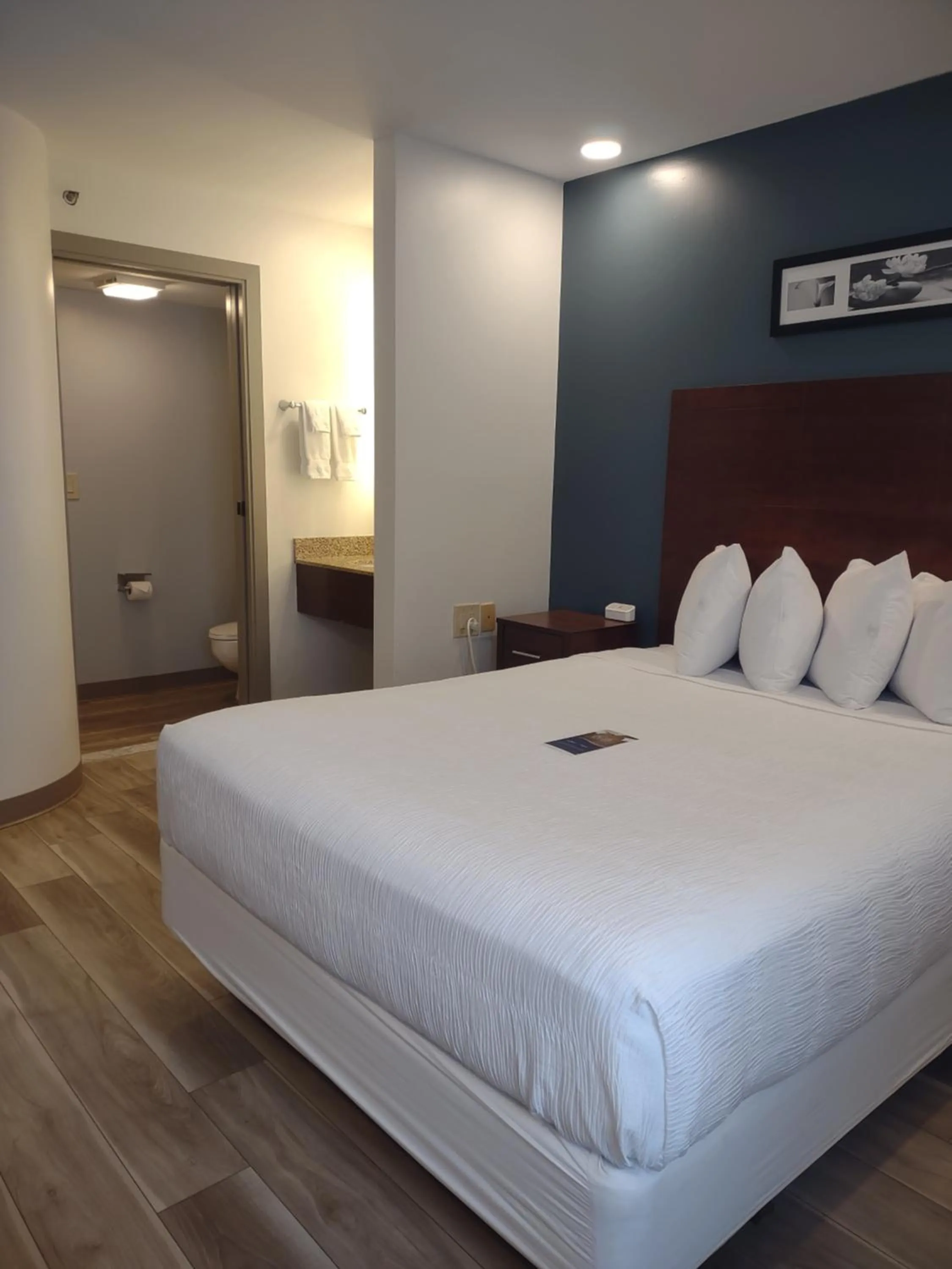 Bed in Baymont by Wyndham Flat Rock